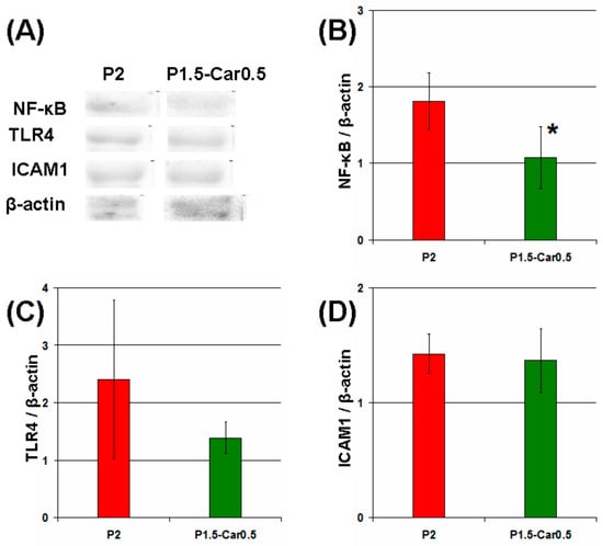Marinedrugs 20 00094 g008 550