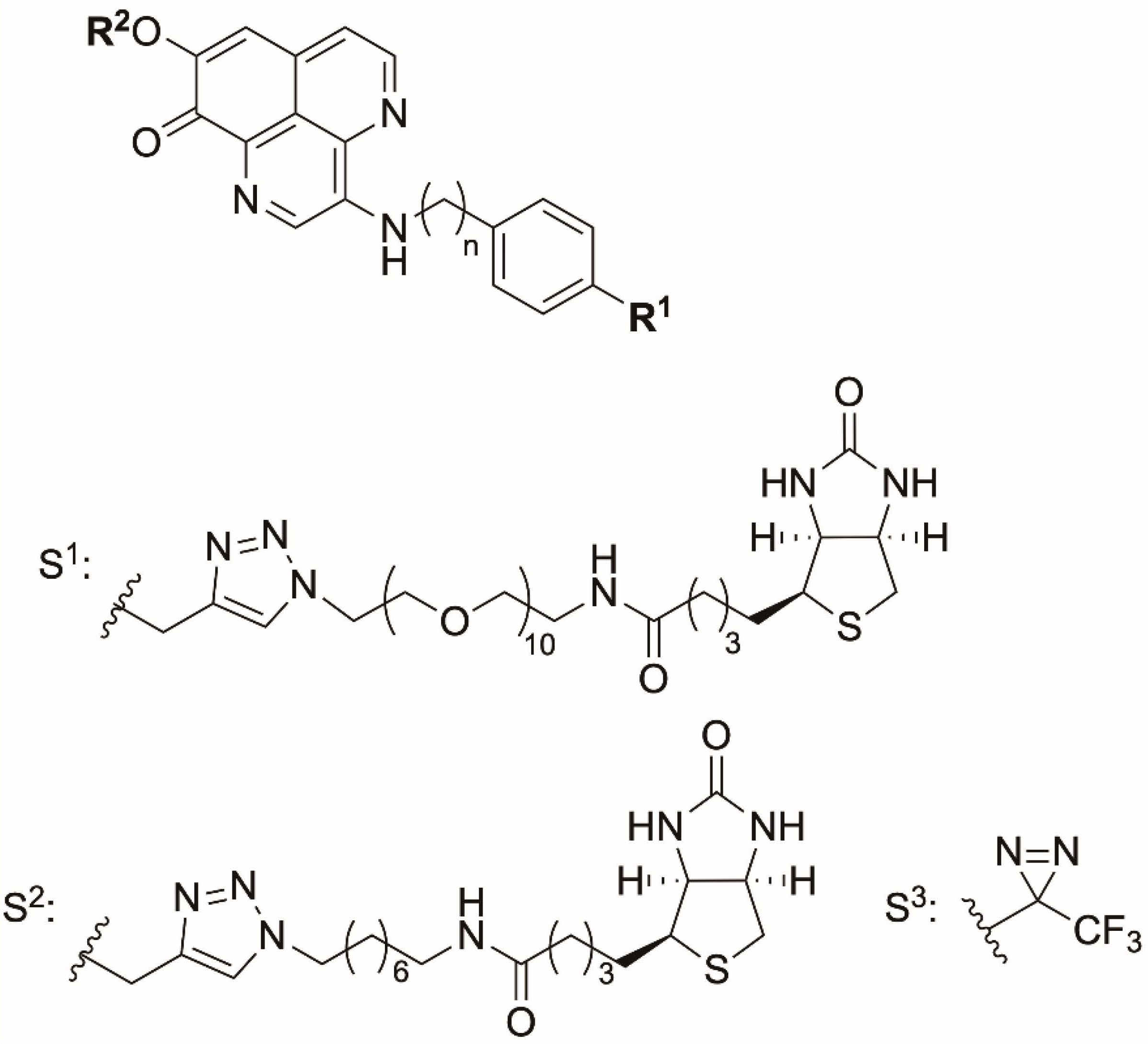 Marinedrugs 20 00098 g001
