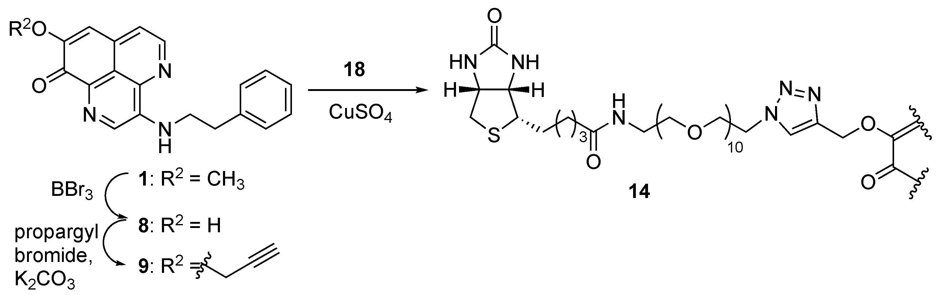 Marinedrugs 20 00098 sch003