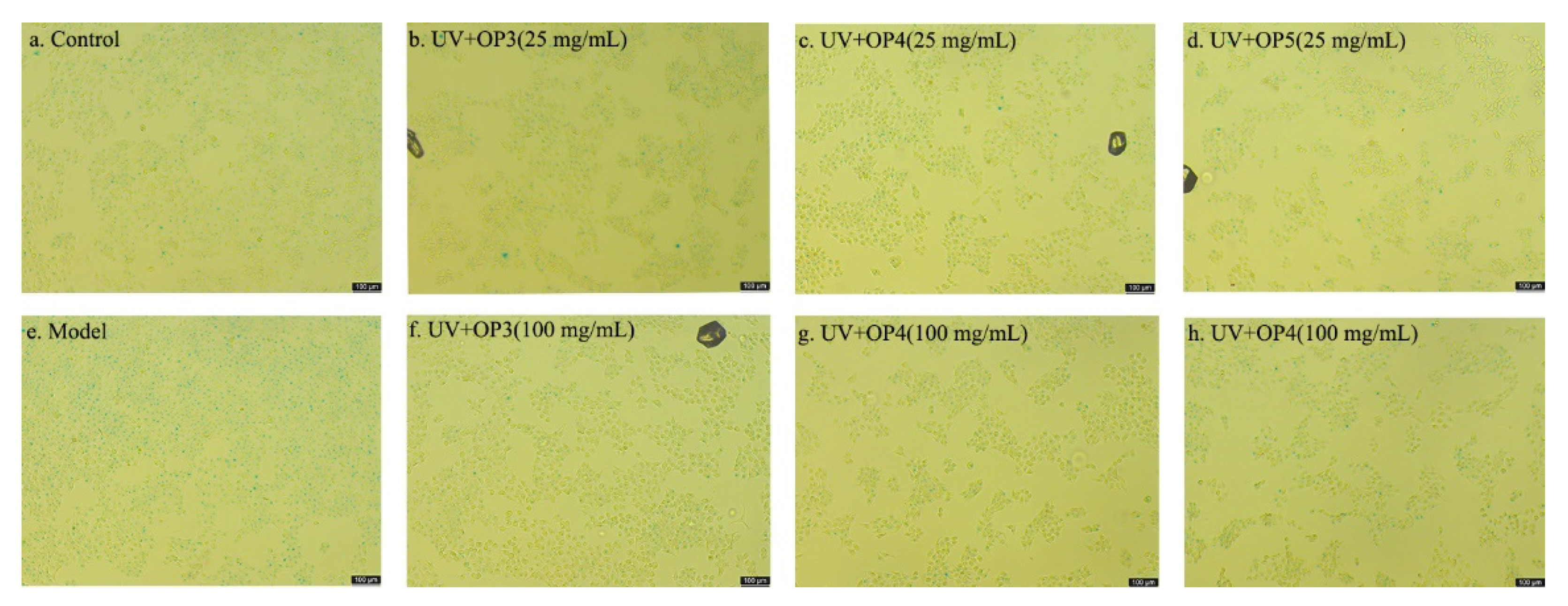 Marinedrugs 20 00100 g007