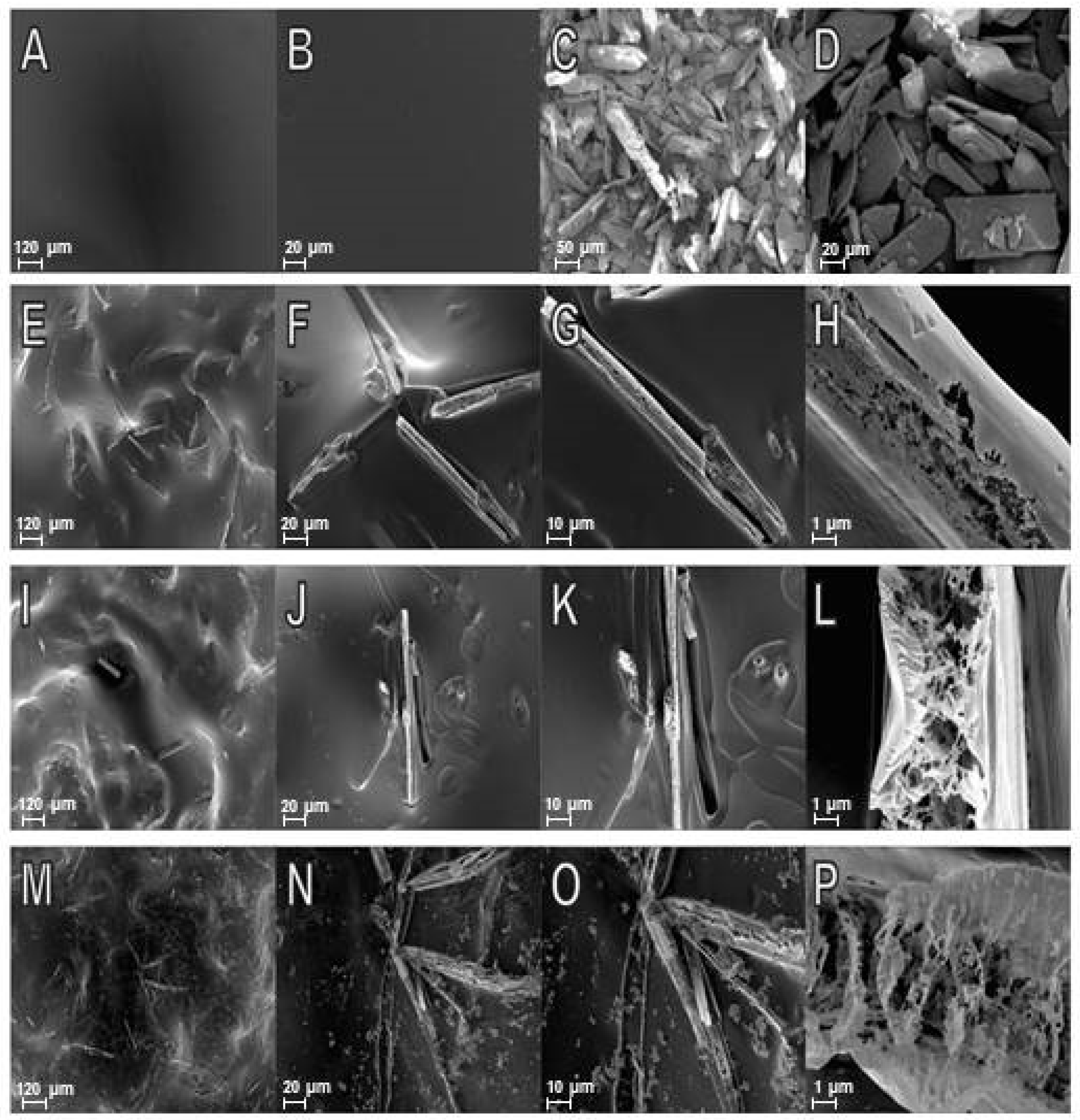 Marinedrugs 20 00103 g007