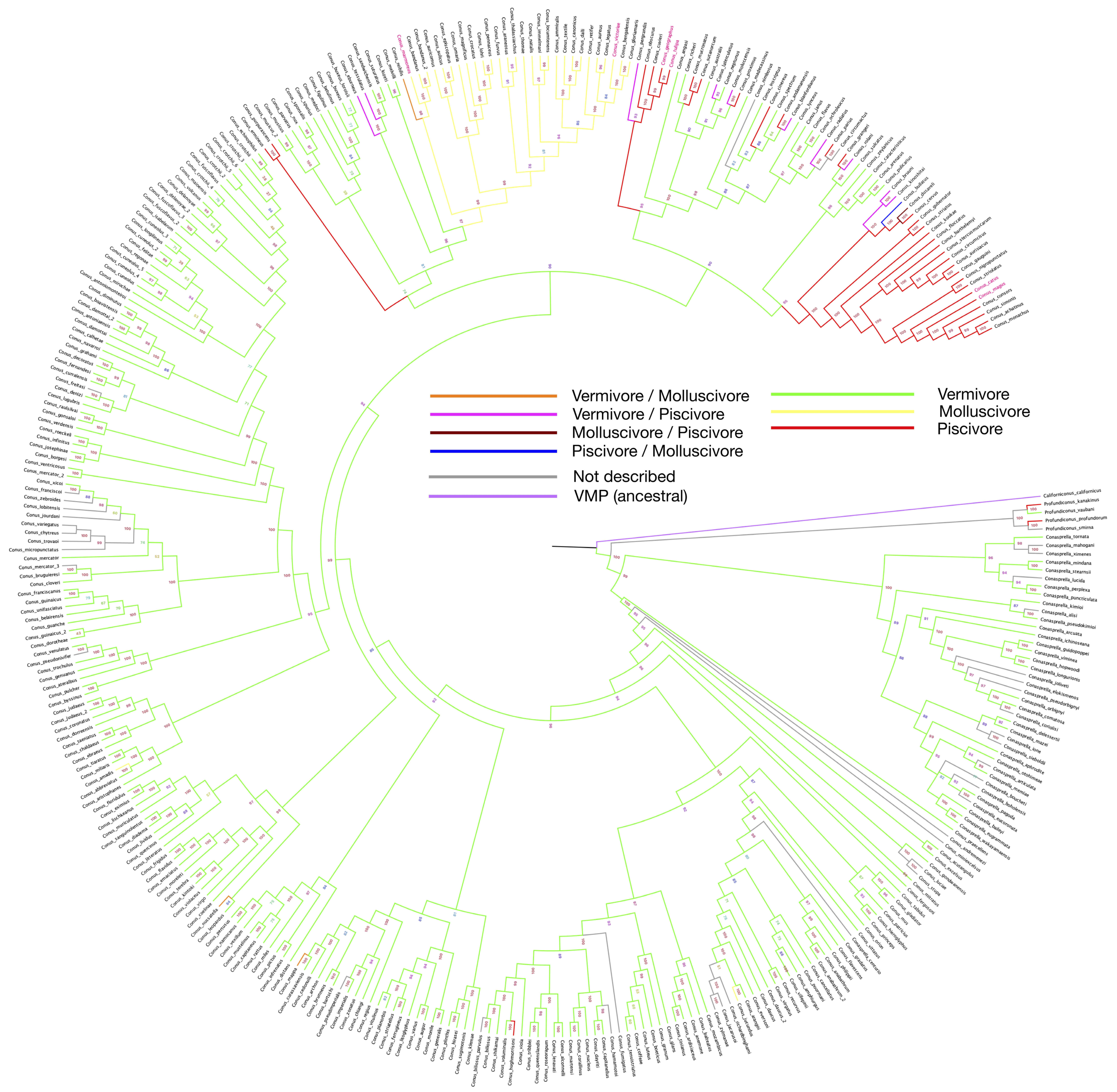 Marinedrugs 20 00105 g001
