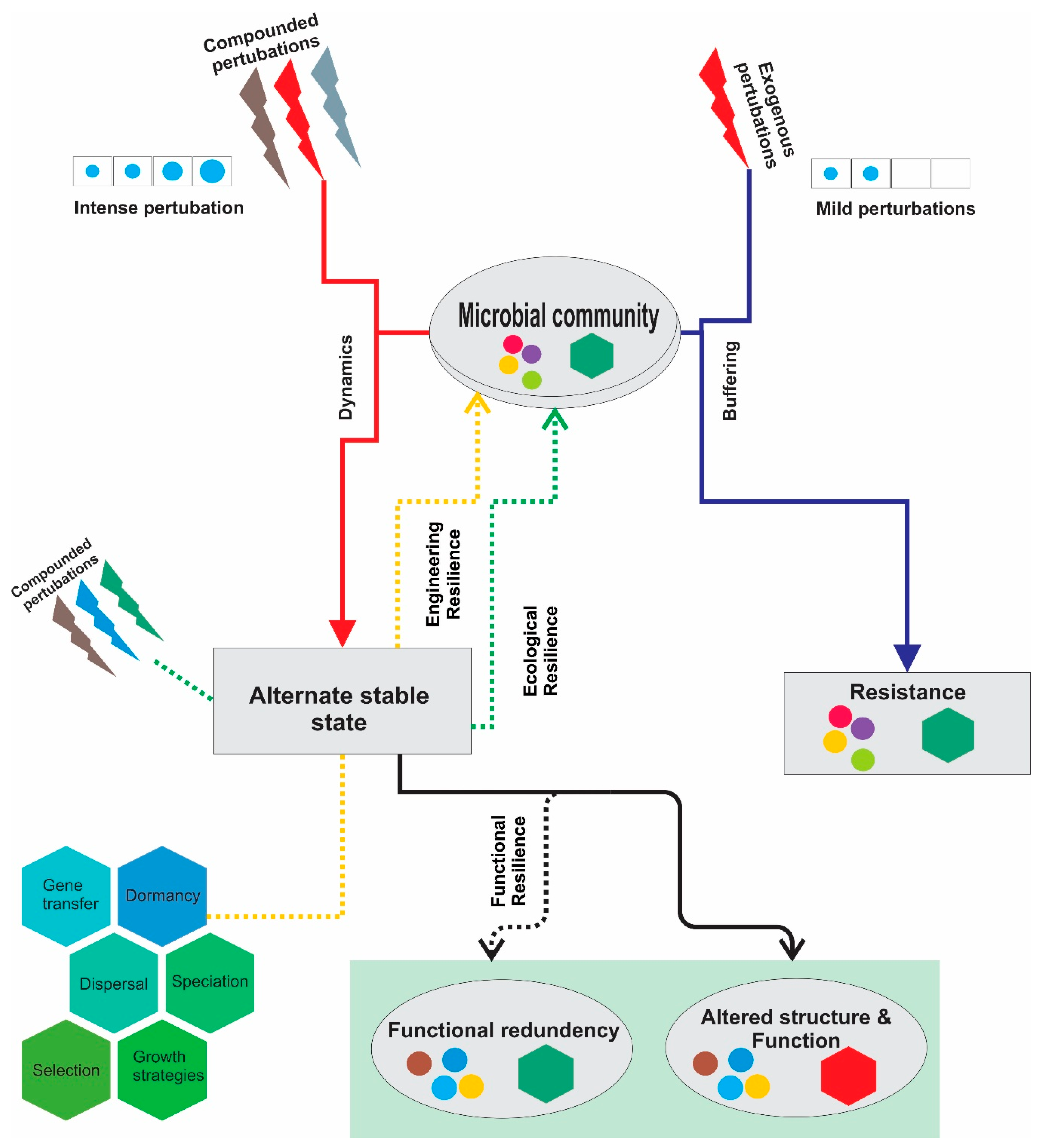Marinedrugs 20 00108 g001