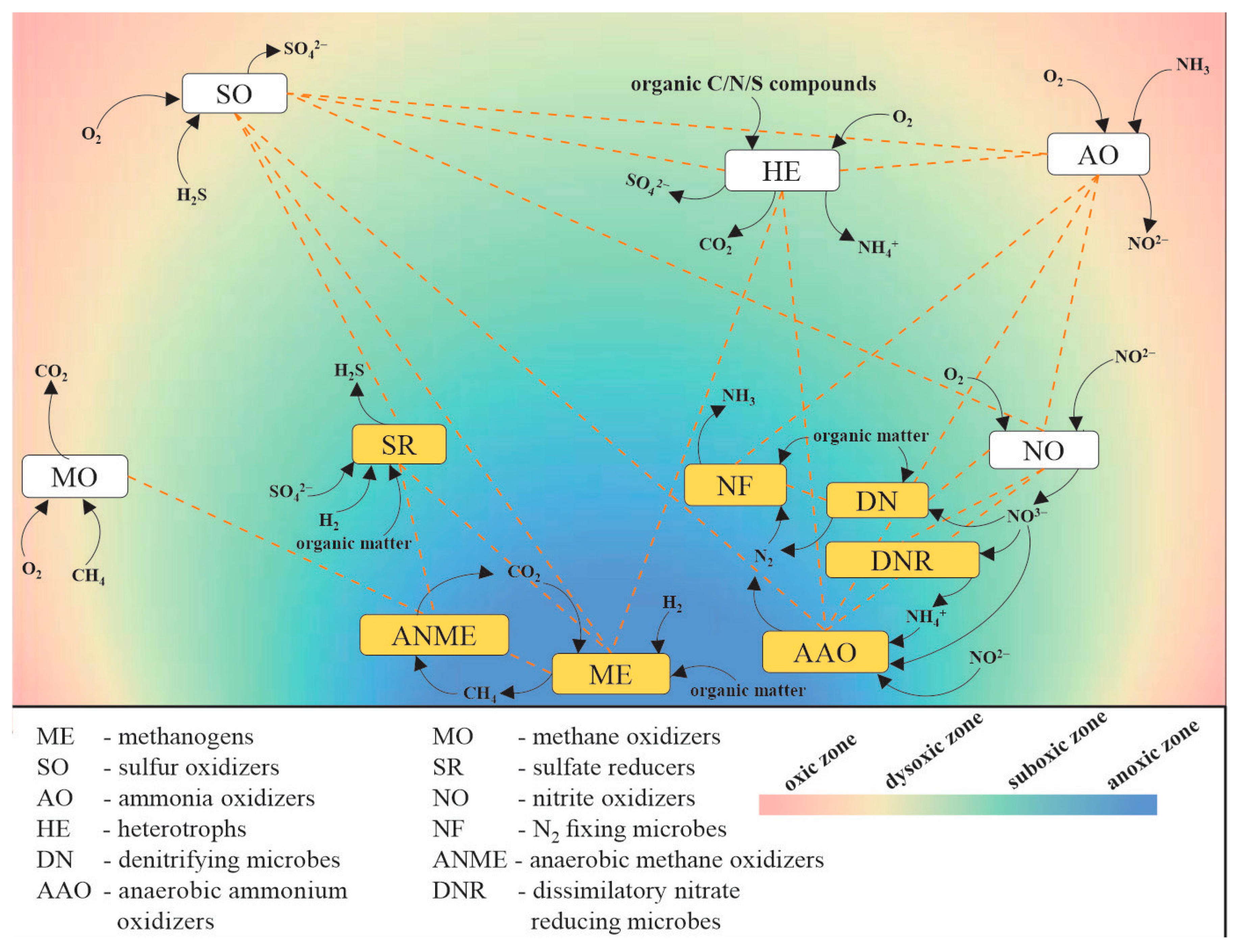 Marinedrugs 20 00108 g002