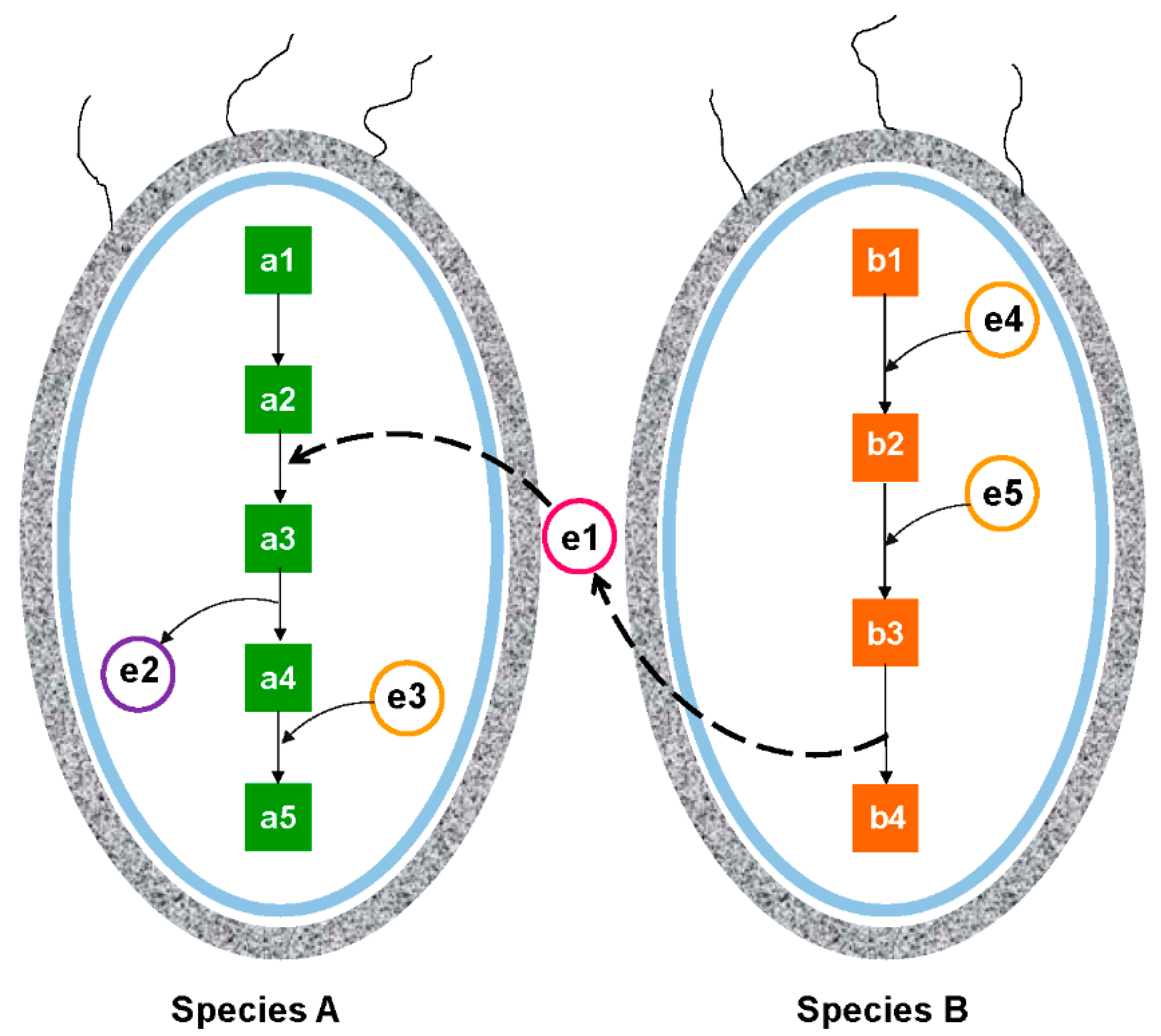 Marinedrugs 20 00108 g004