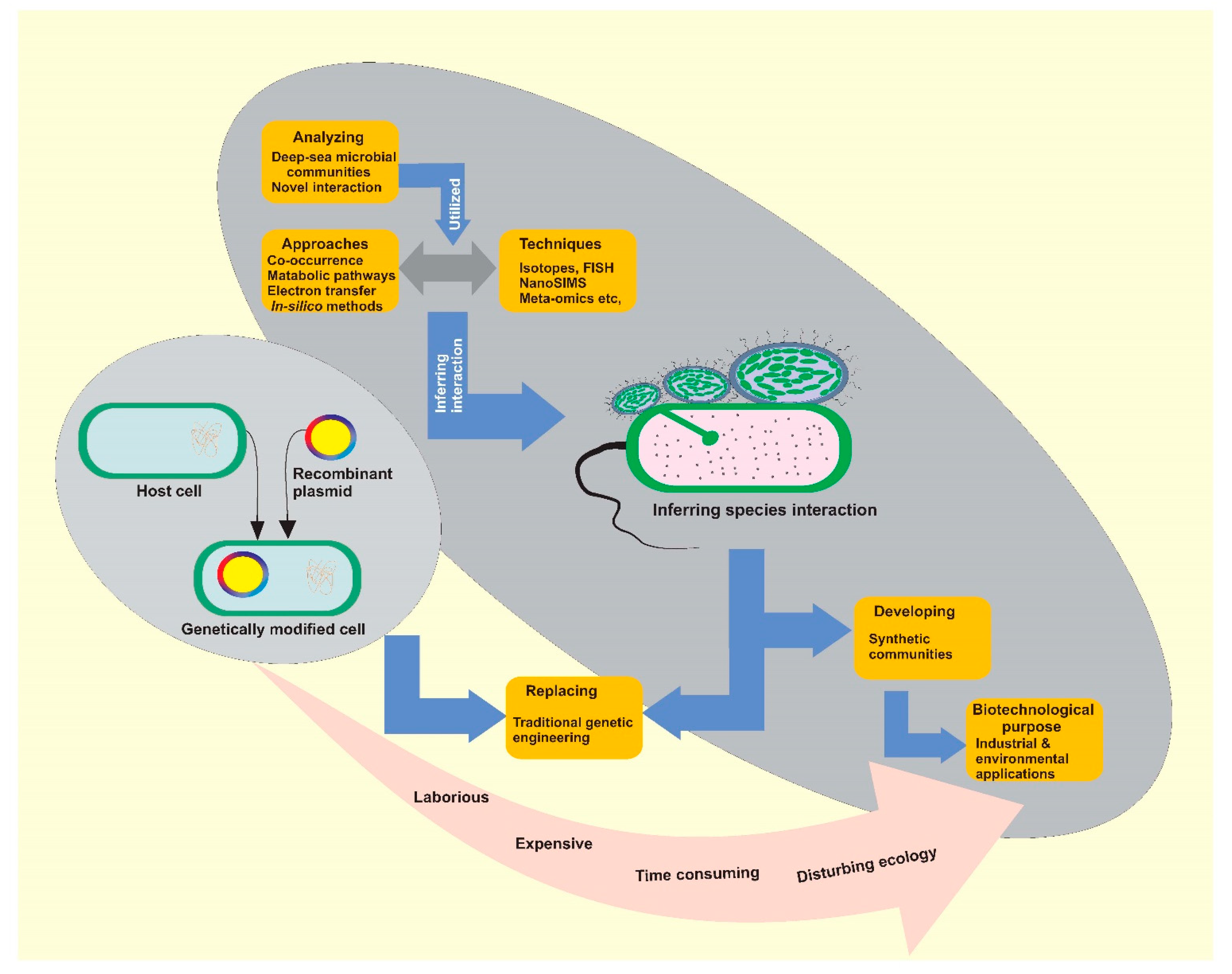 Marinedrugs 20 00108 g005