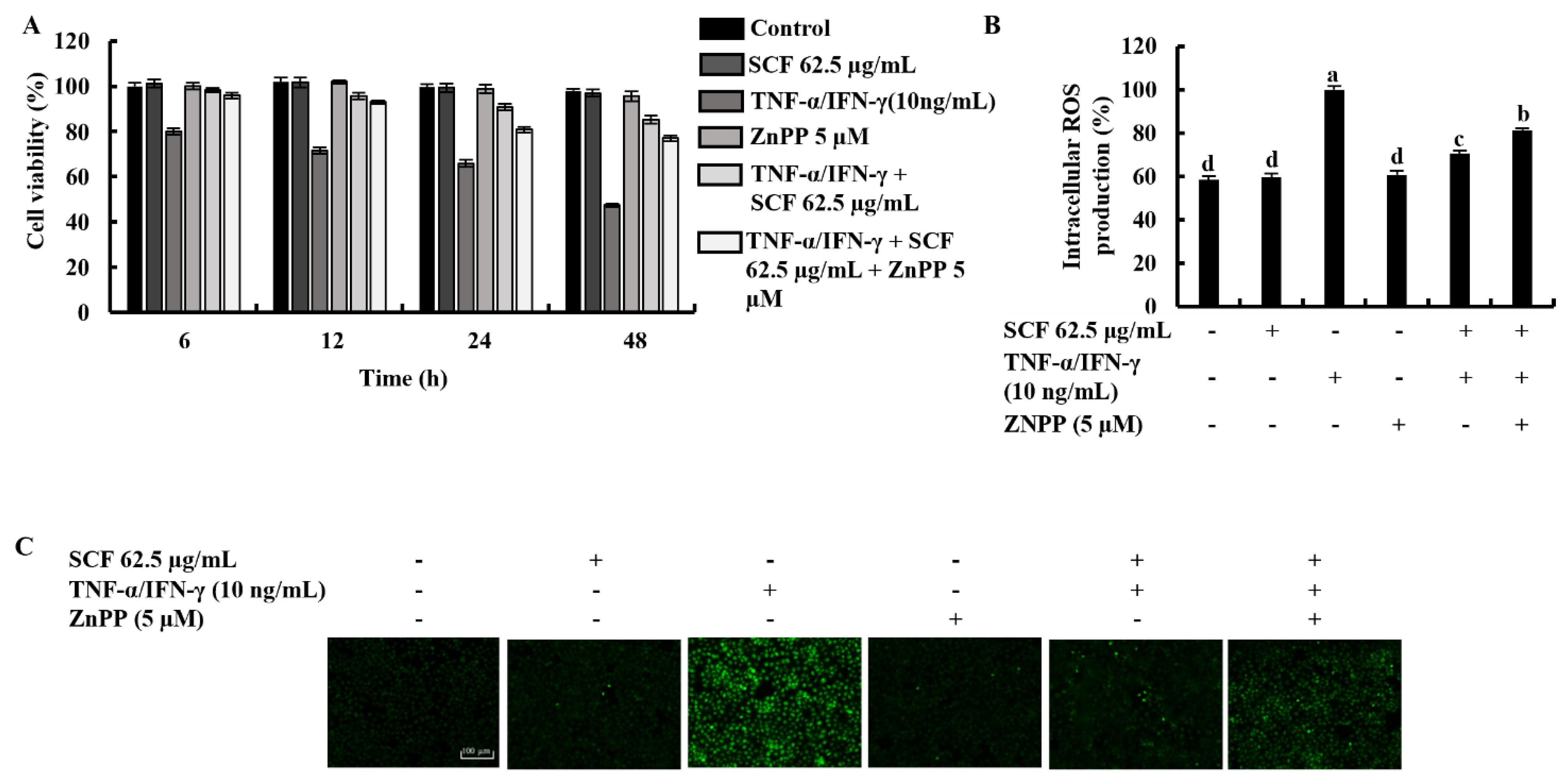 Marinedrugs 20 00117 g005 Marinedrugs 20 00117 g005