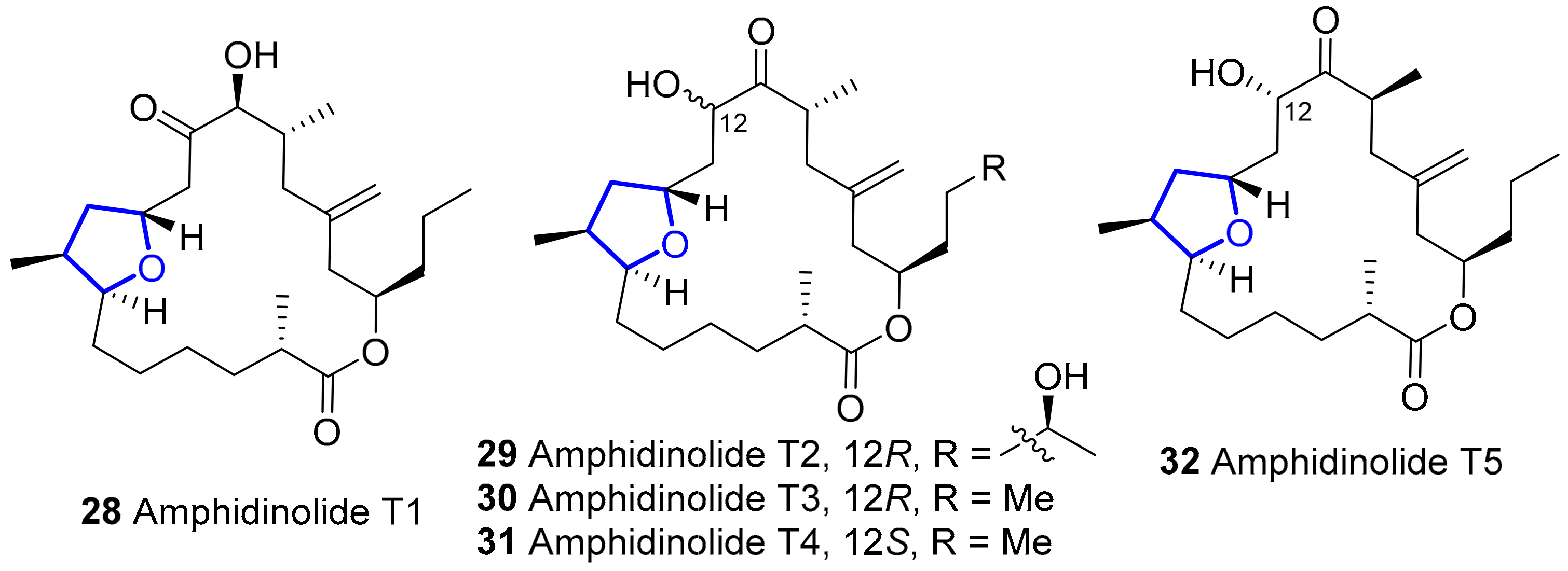 Marinedrugs 20 00120 g007