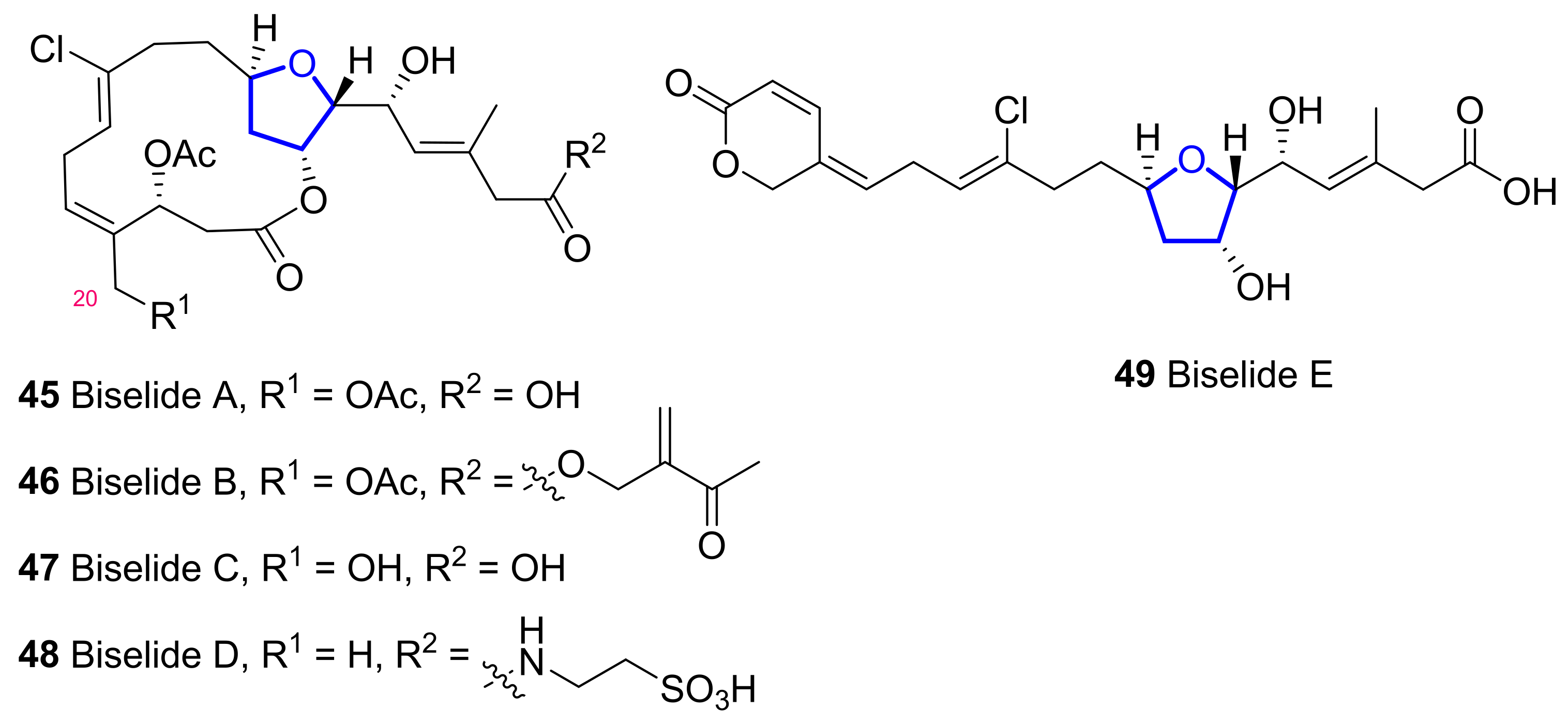 Marinedrugs 20 00120 g009