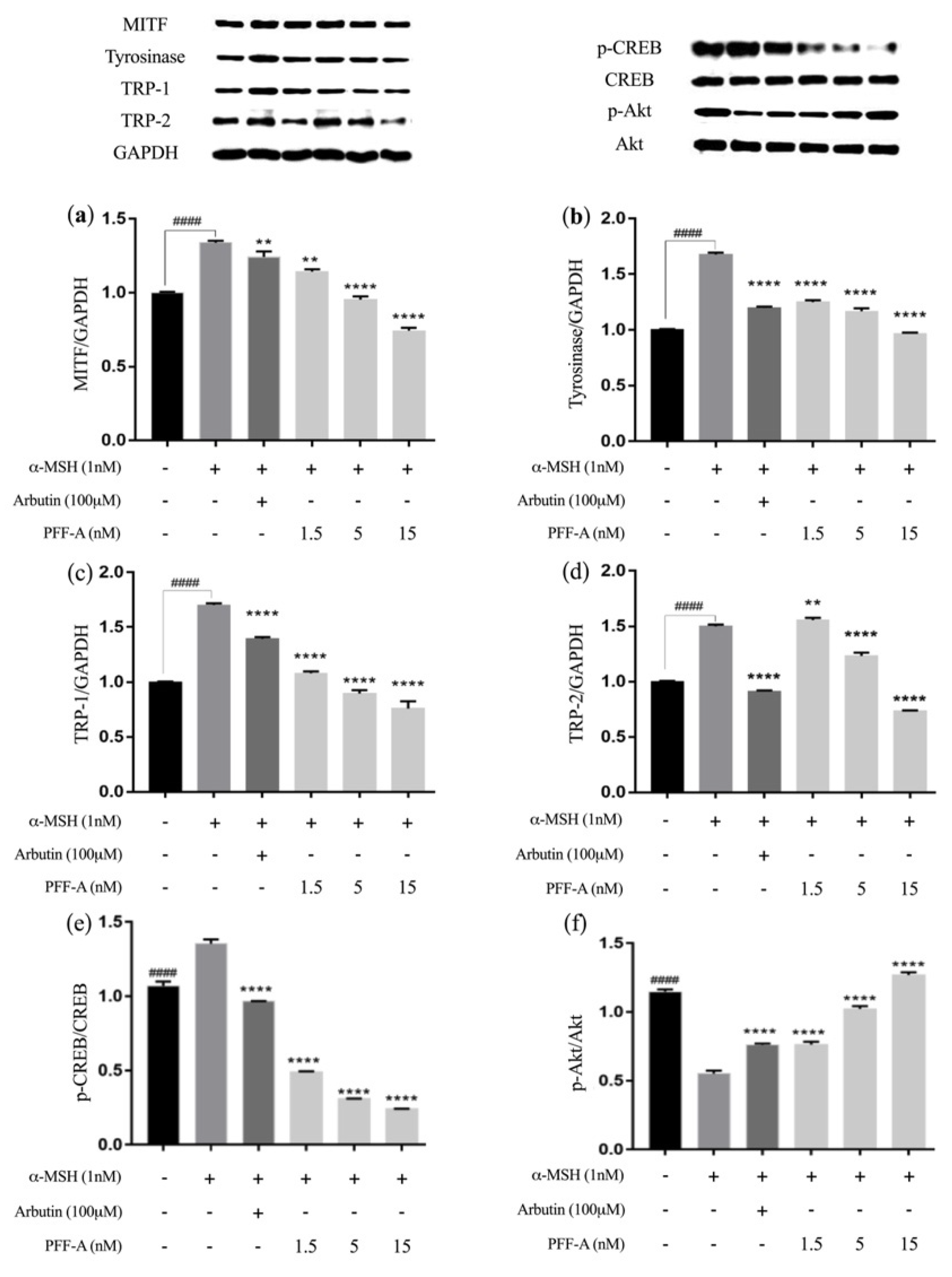 Marinedrugs 20 00123 g003