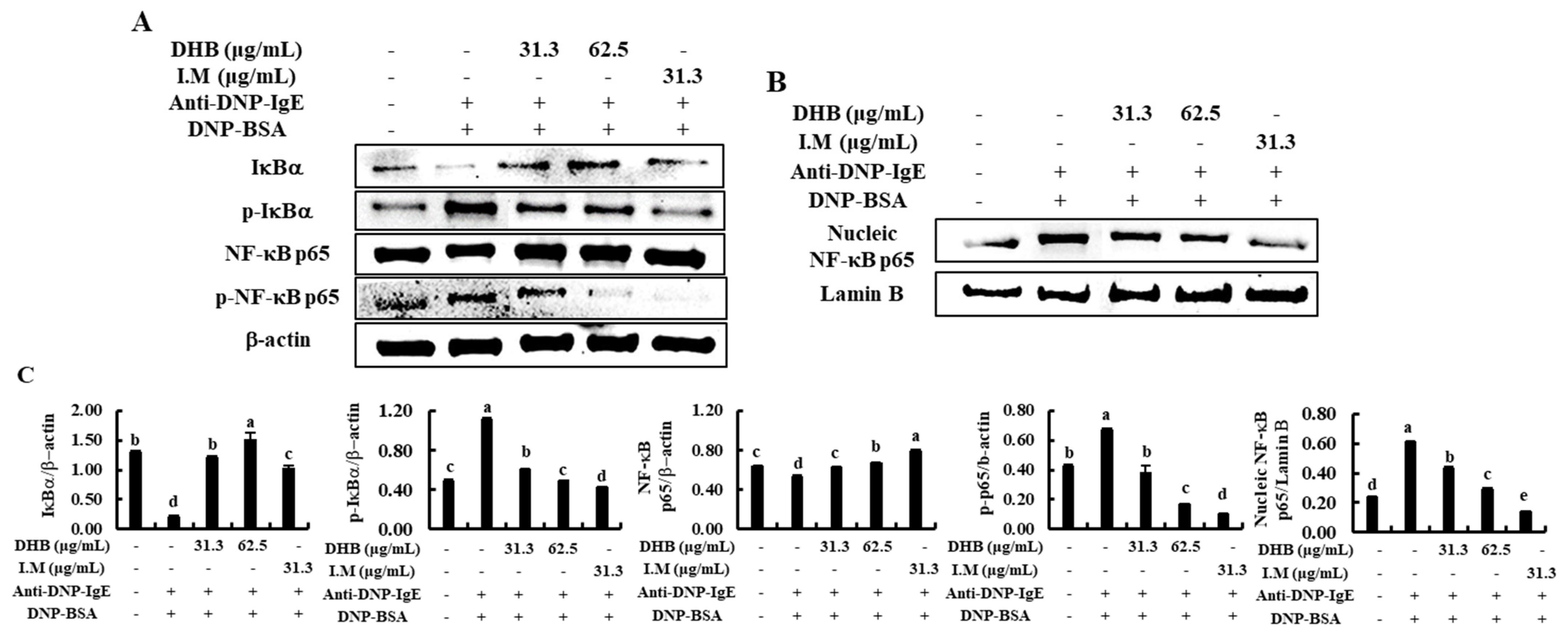 Marinedrugs 20 00133 g004