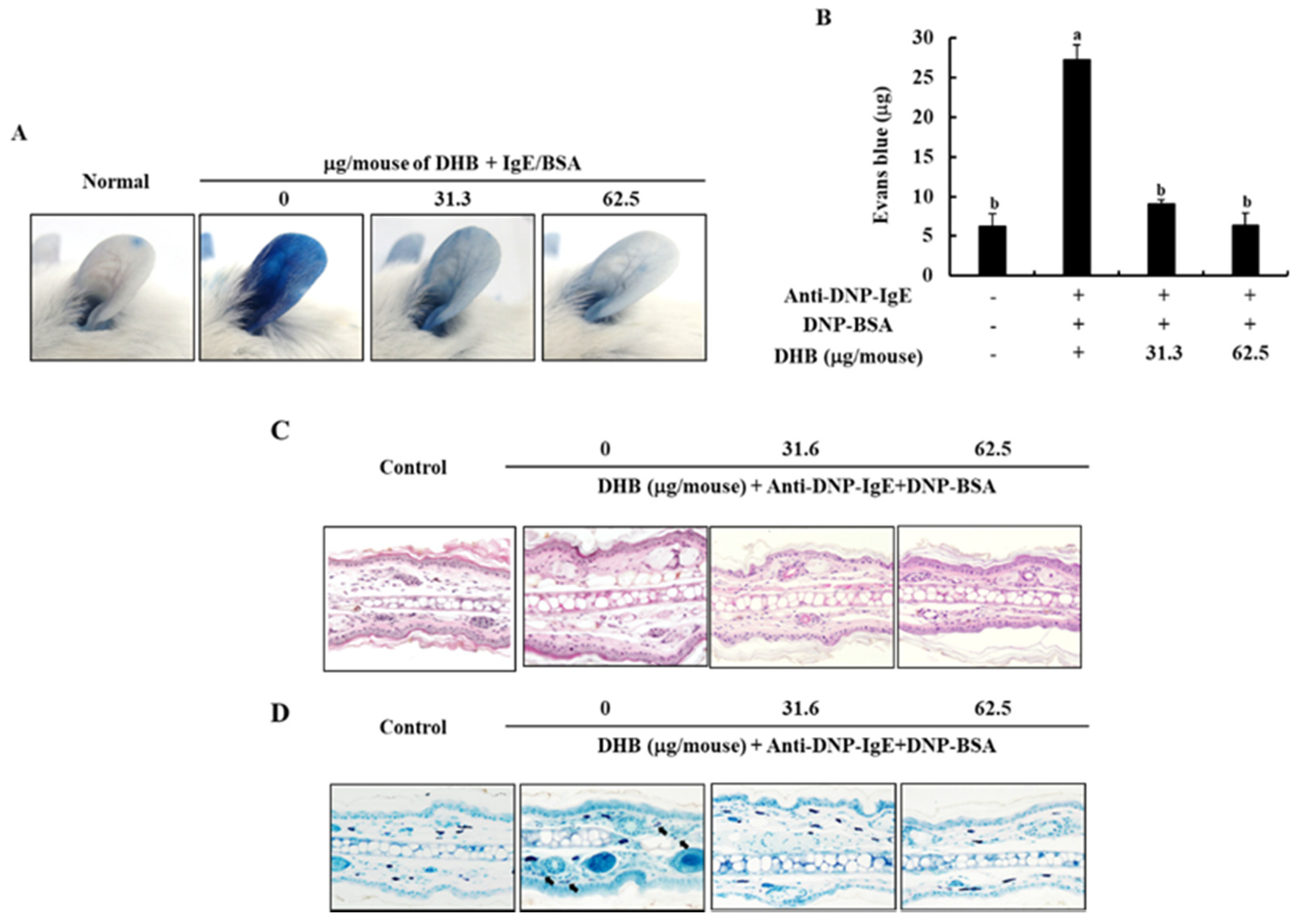 Marinedrugs 20 00133 g005