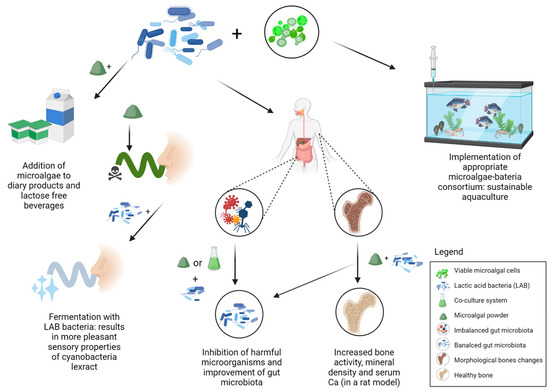 Marinedrugs 20 00142 g003