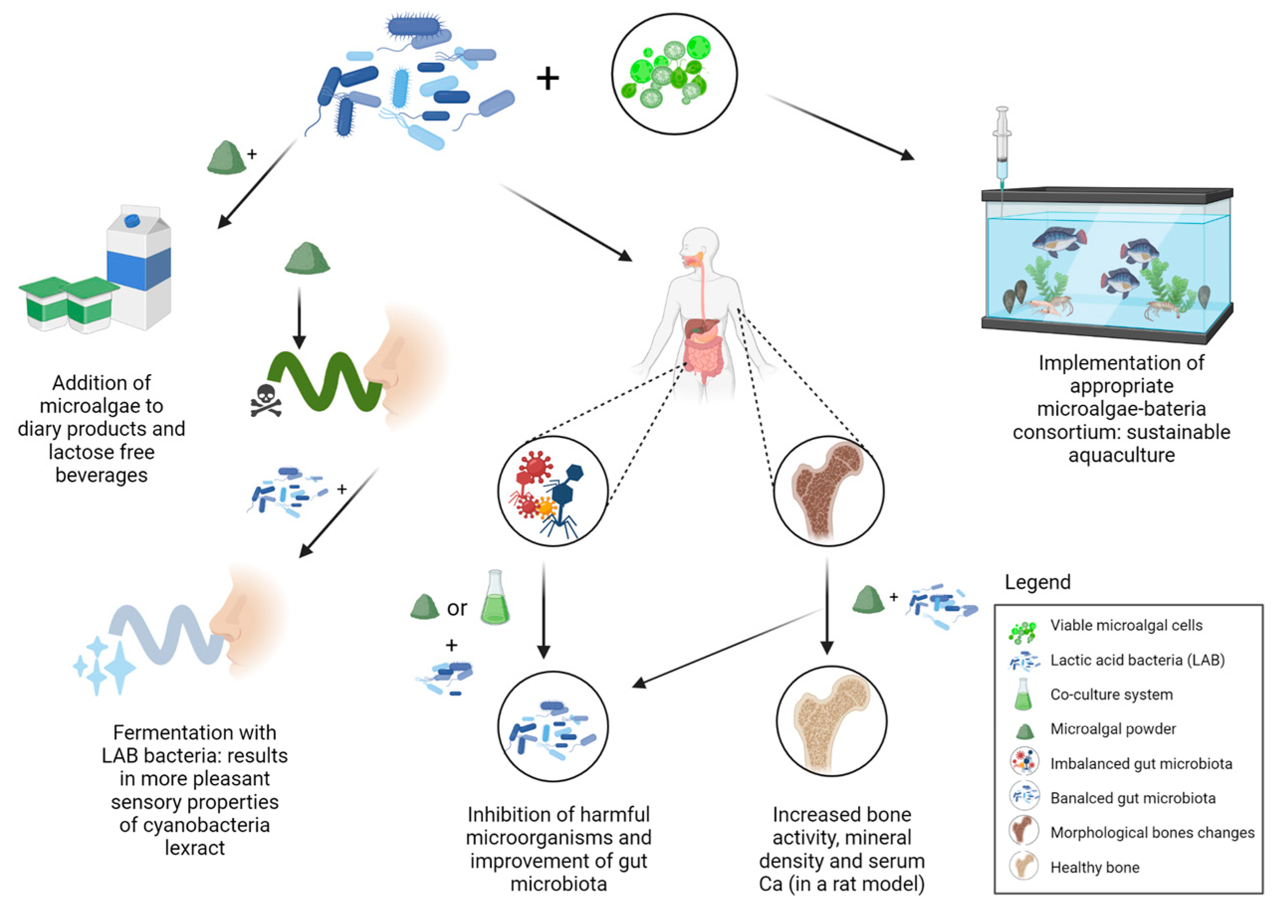 Marinedrugs 20 00142 g003