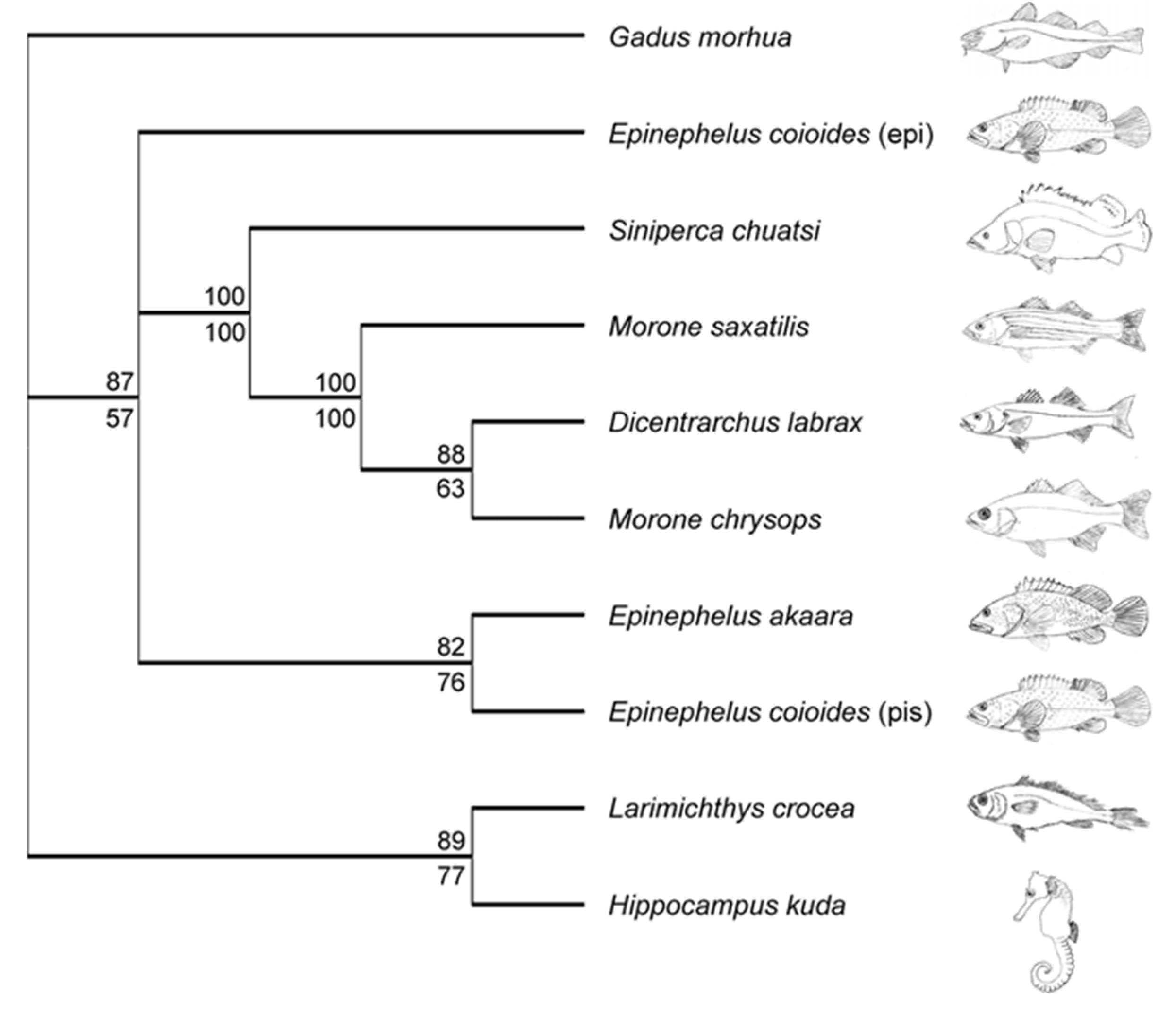 Marinedrugs 20 00145 g003