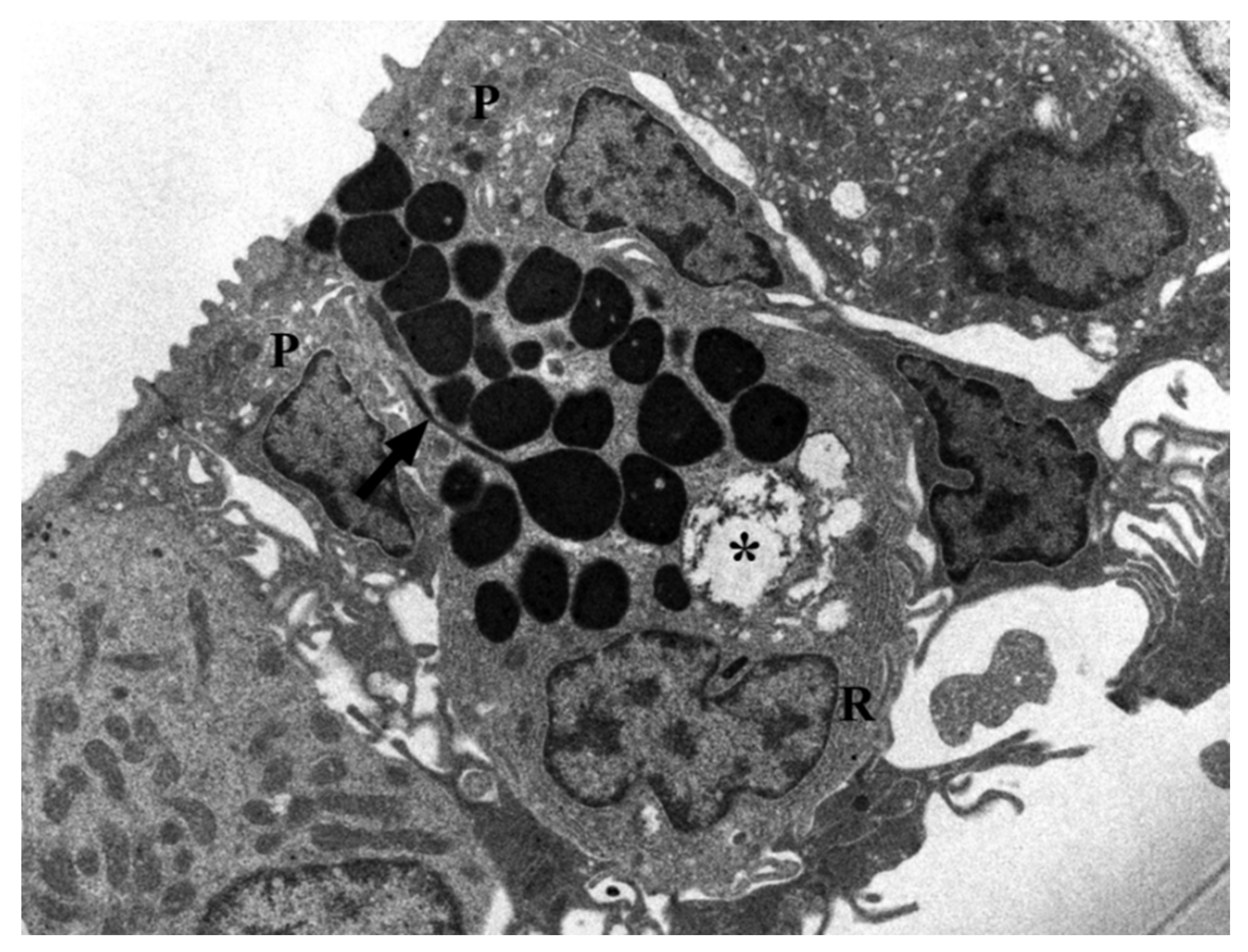 Marinedrugs 20 00145 g006