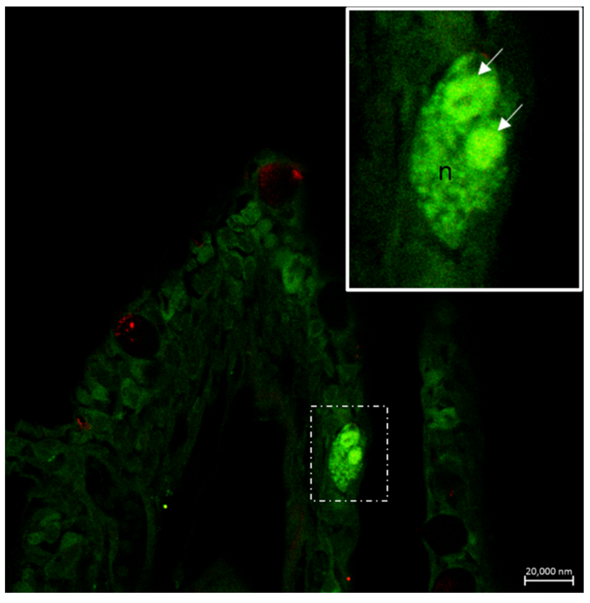 Marinedrugs 20 00145 g010