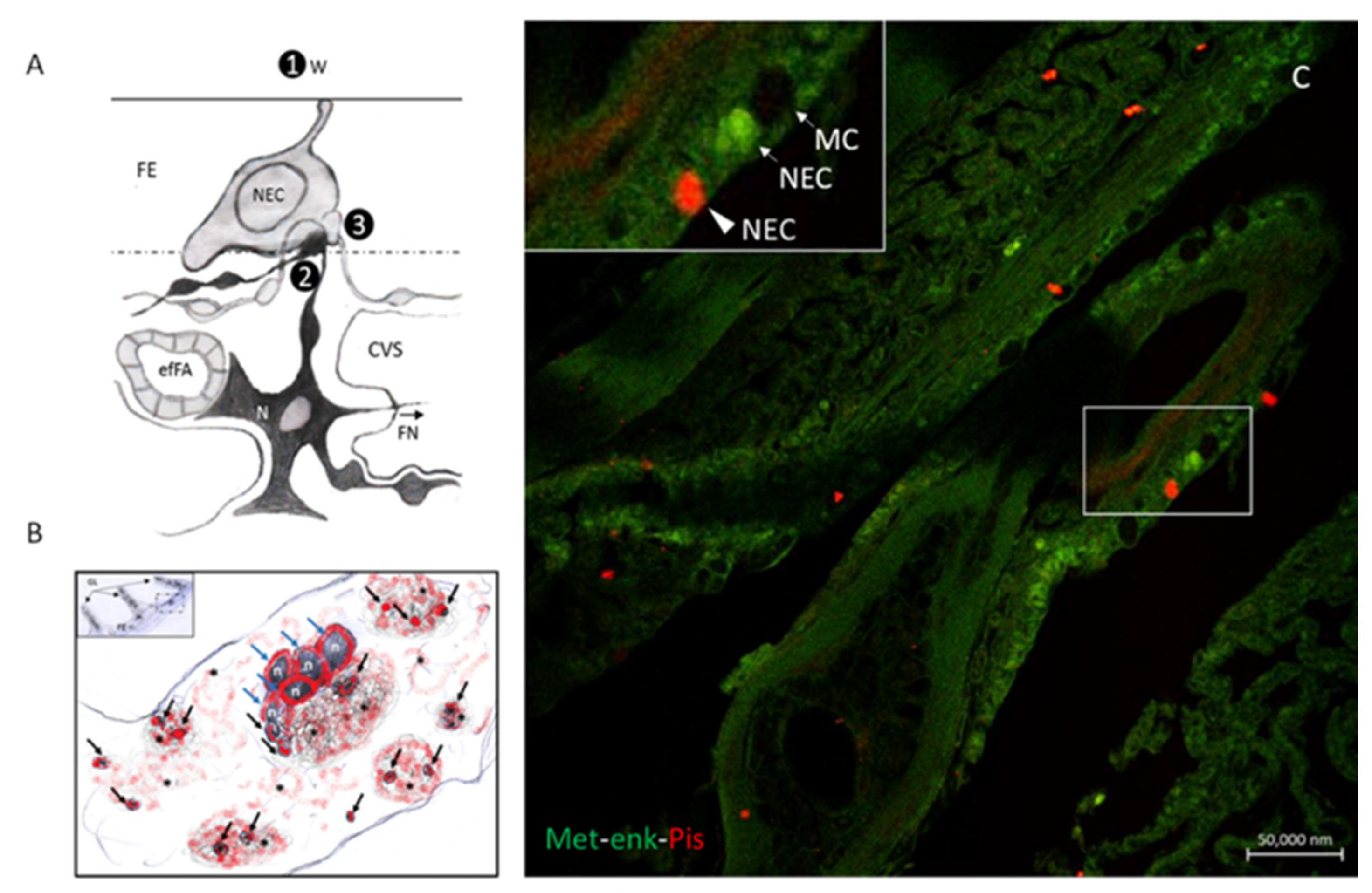 Marinedrugs 20 00145 g014