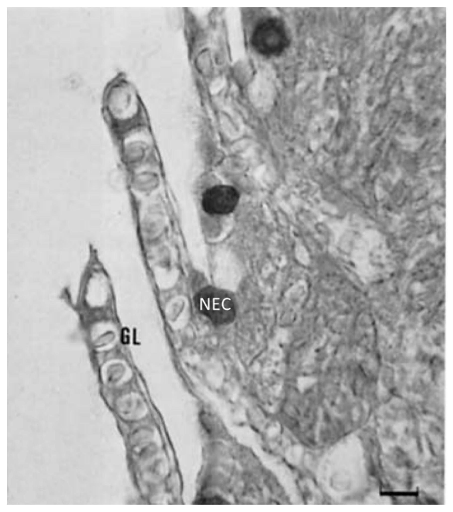 Marinedrugs 20 00145 g016