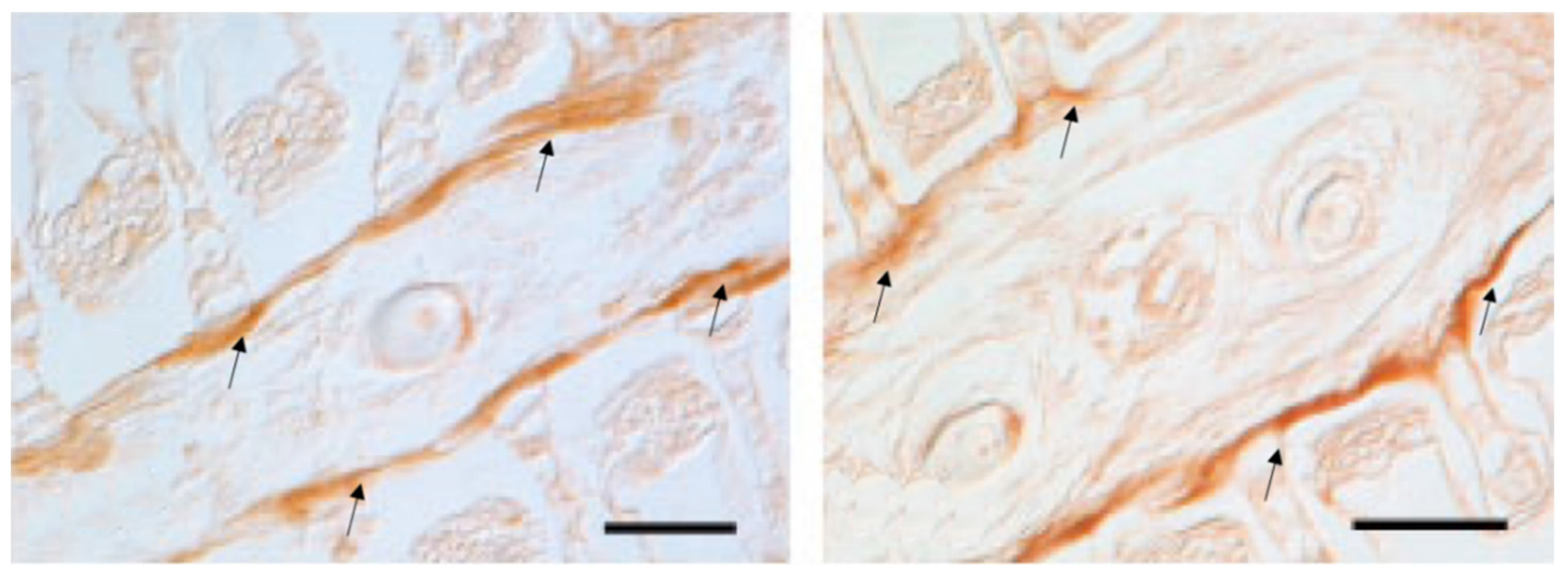 Marinedrugs 20 00145 g018