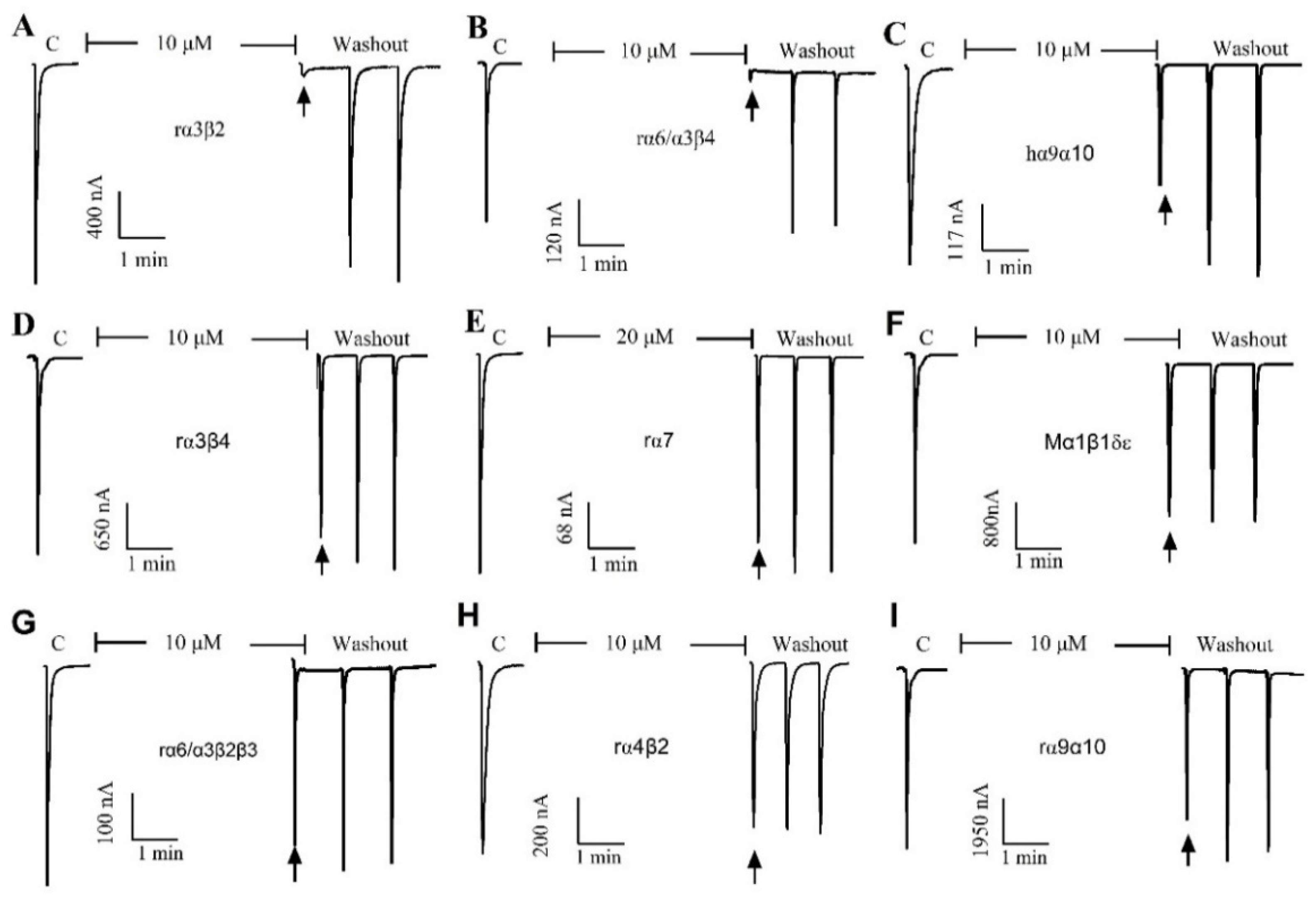 Marinedrugs 20 00146 g002