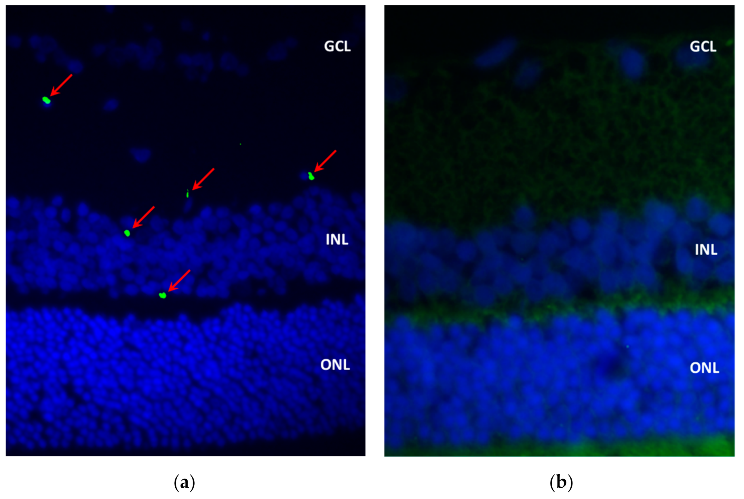 Marinedrugs 20 00151 g008a
