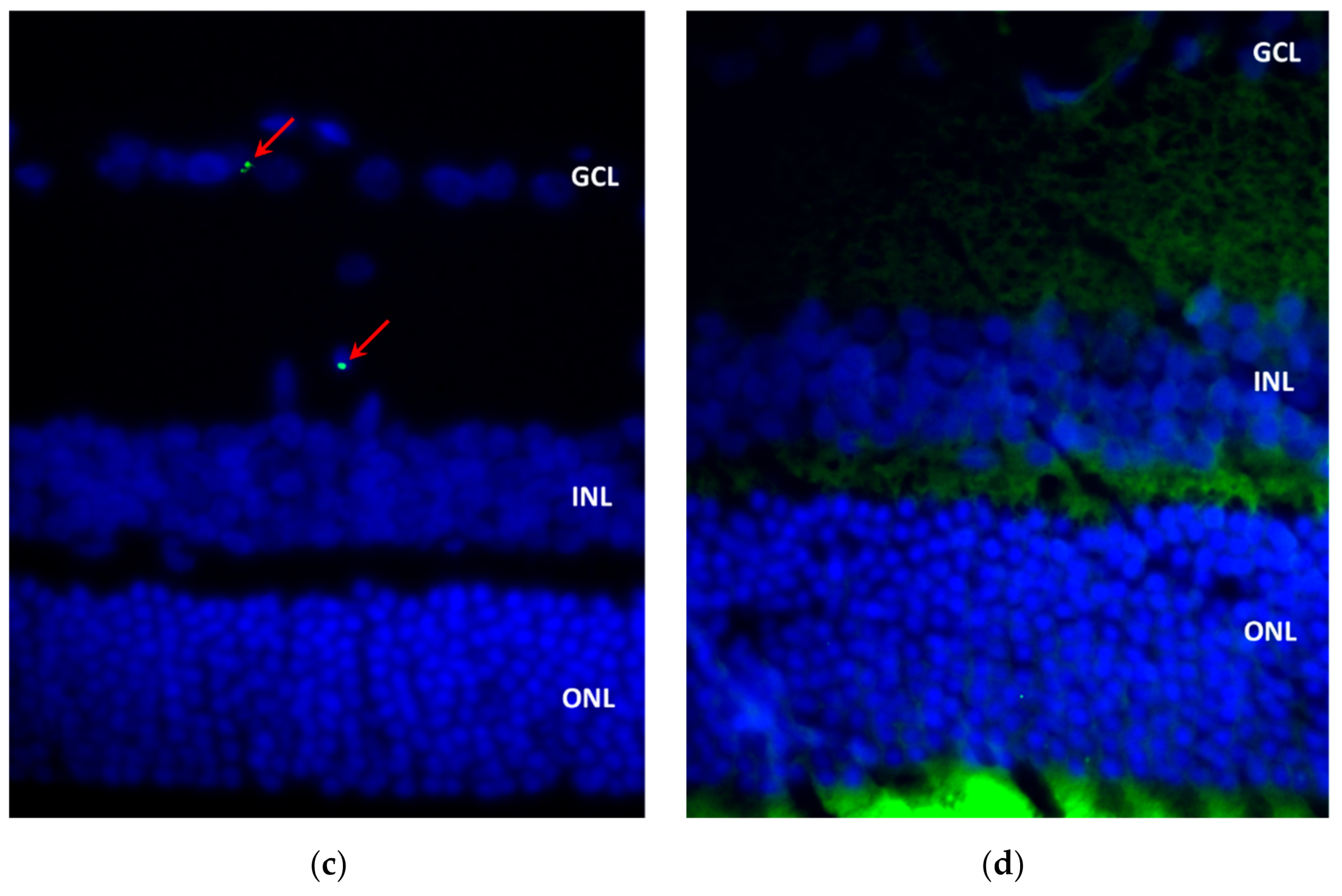 Marinedrugs 20 00151 g008b