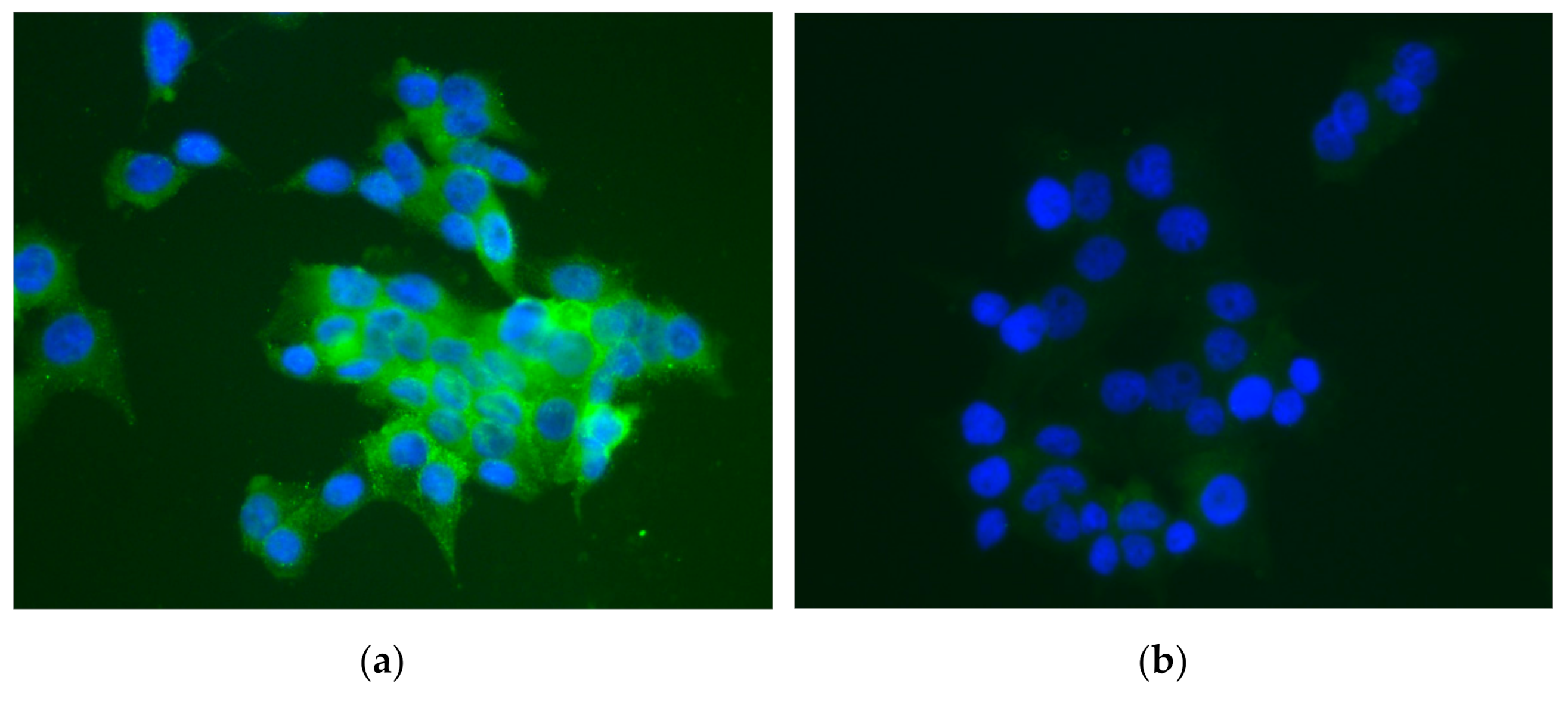 Marinedrugs 20 00151 g009