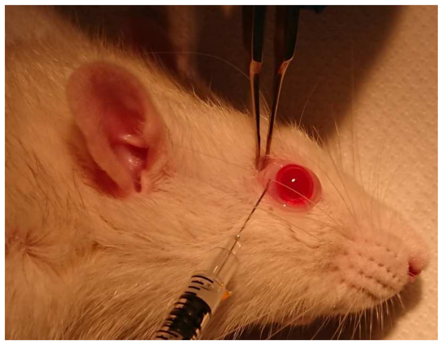 Marinedrugs 20 00151 g013