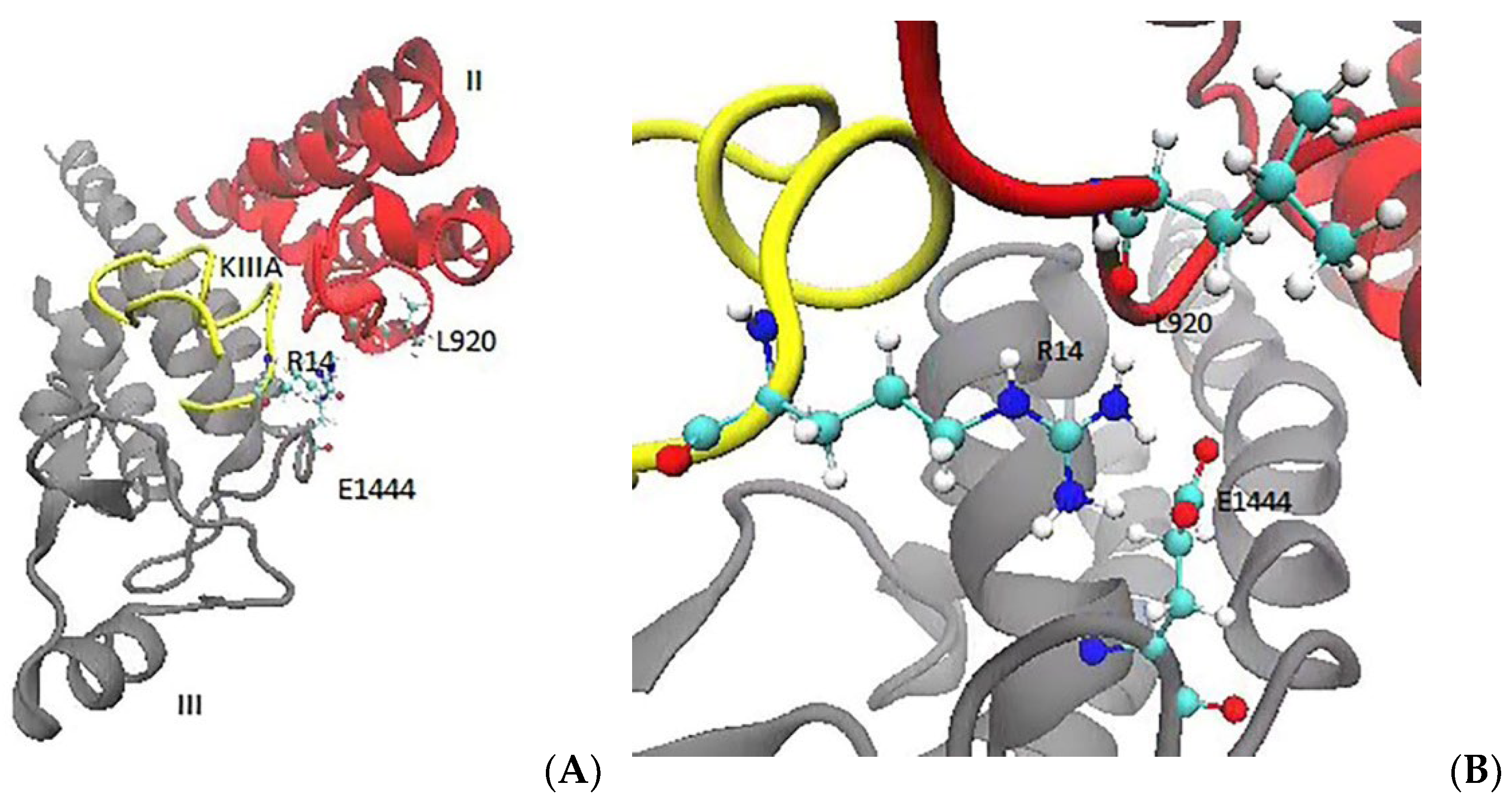 Marinedrugs 20 00154 g001