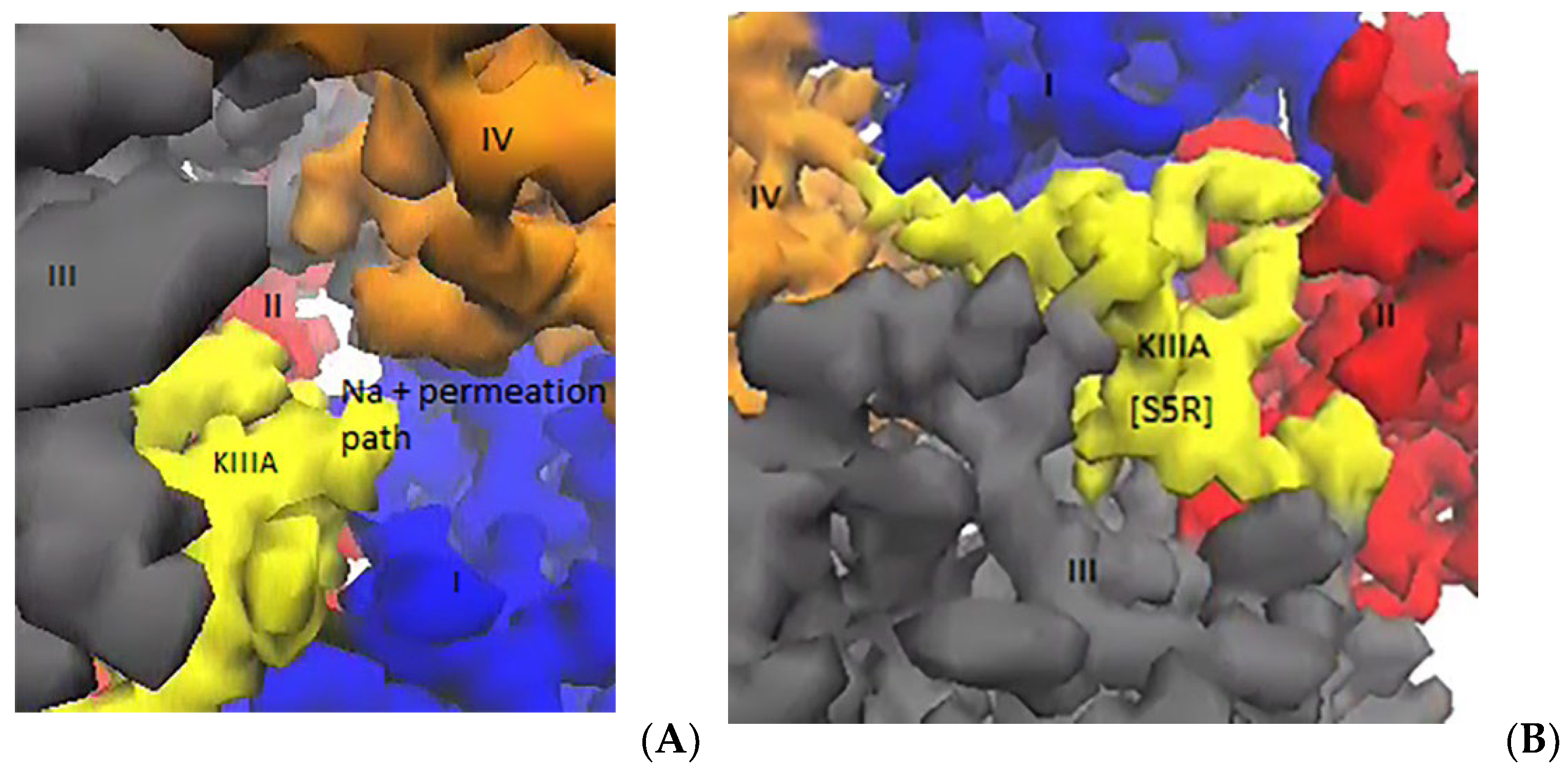 Marinedrugs 20 00154 g007