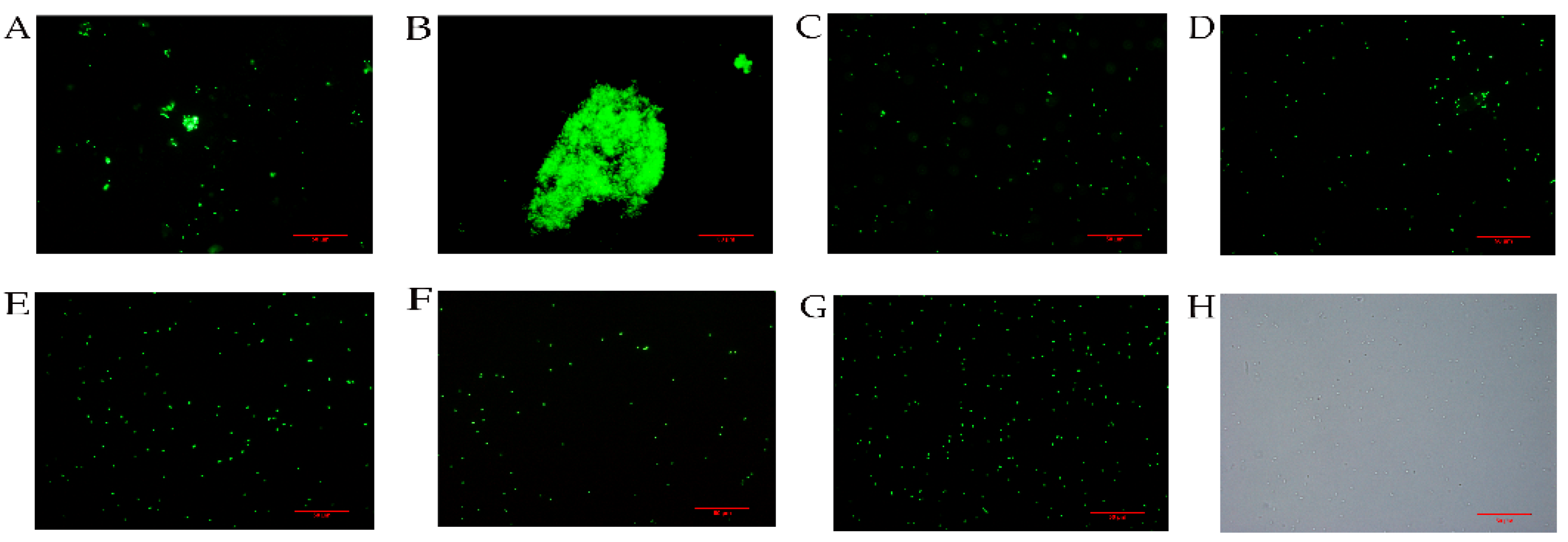 Marinedrugs 20 00157 g005