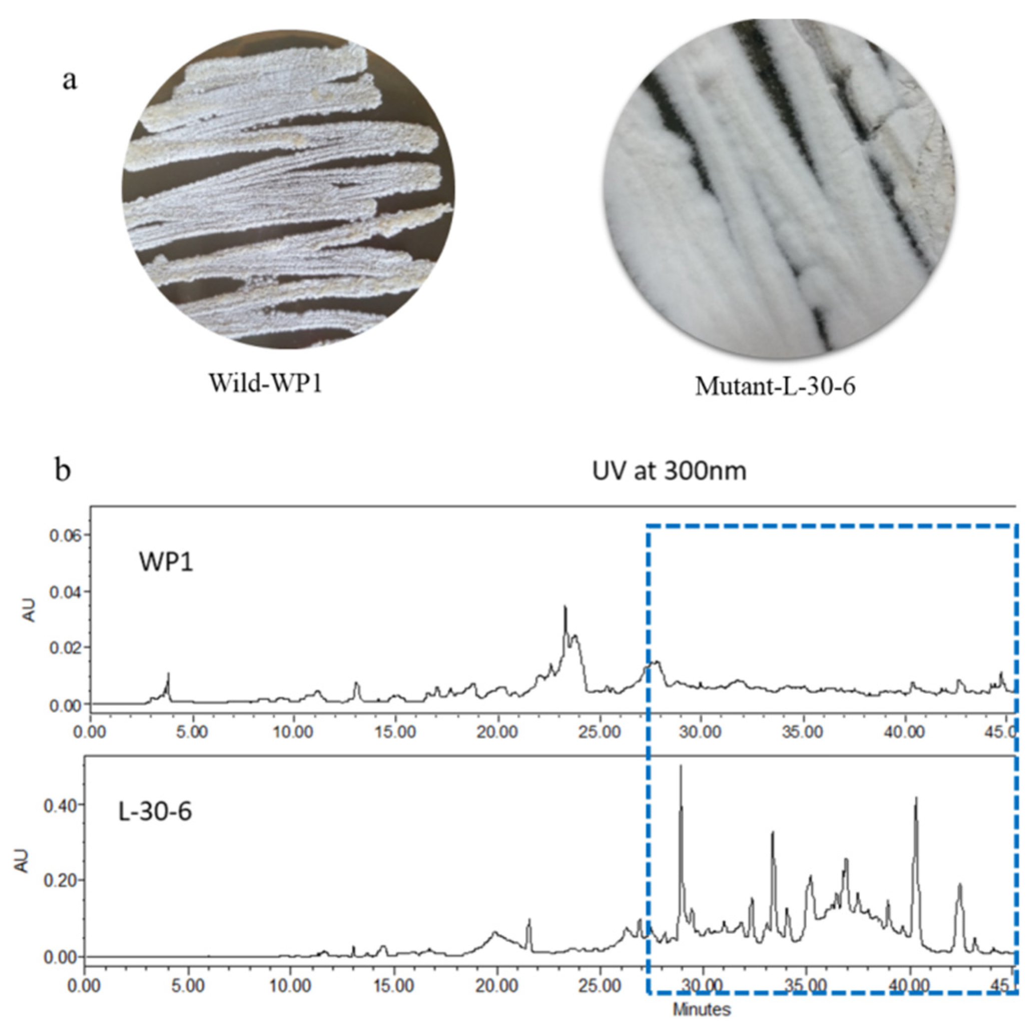 Marinedrugs 20 00162 g001