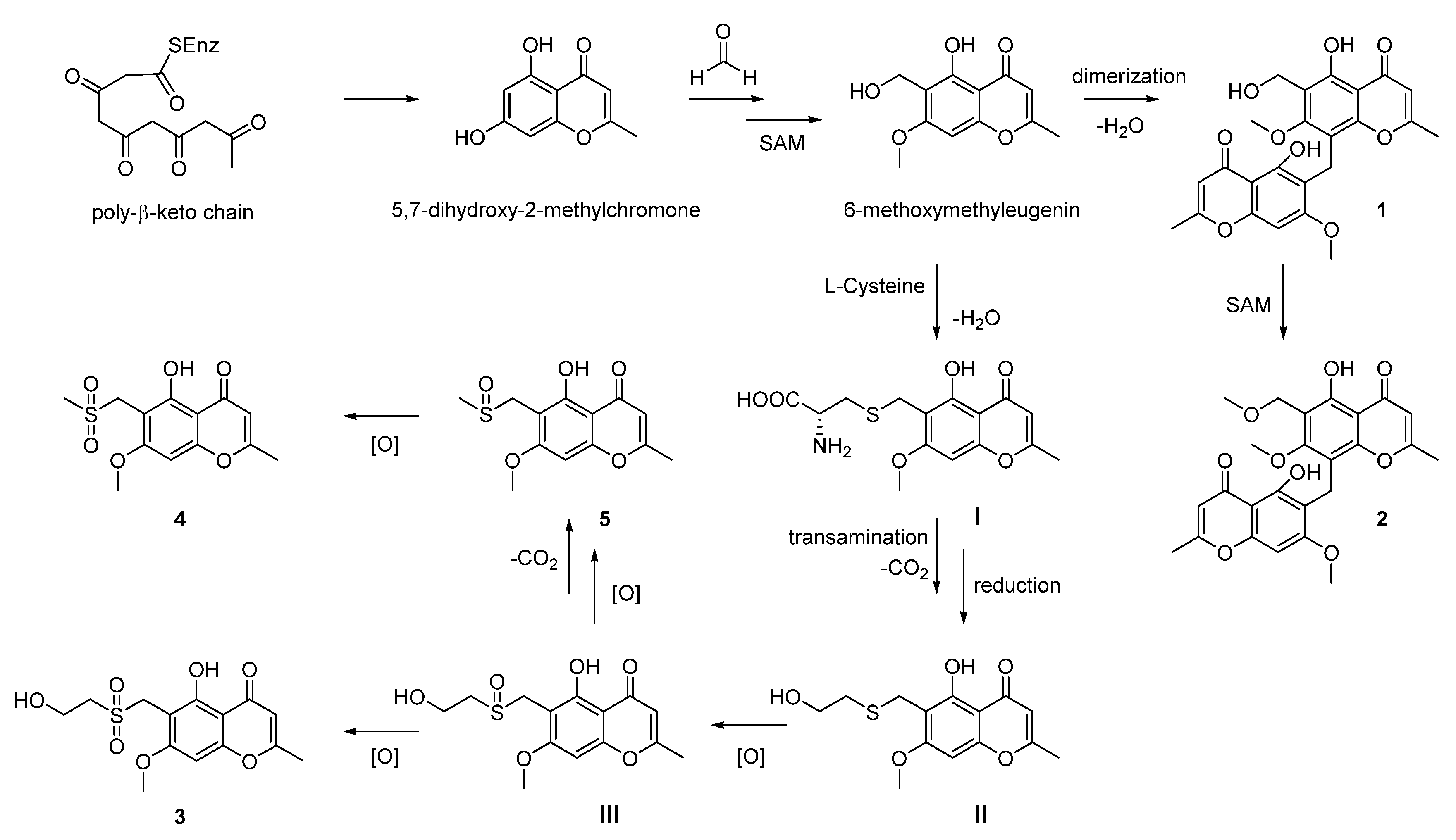Marinedrugs 20 00162 sch001