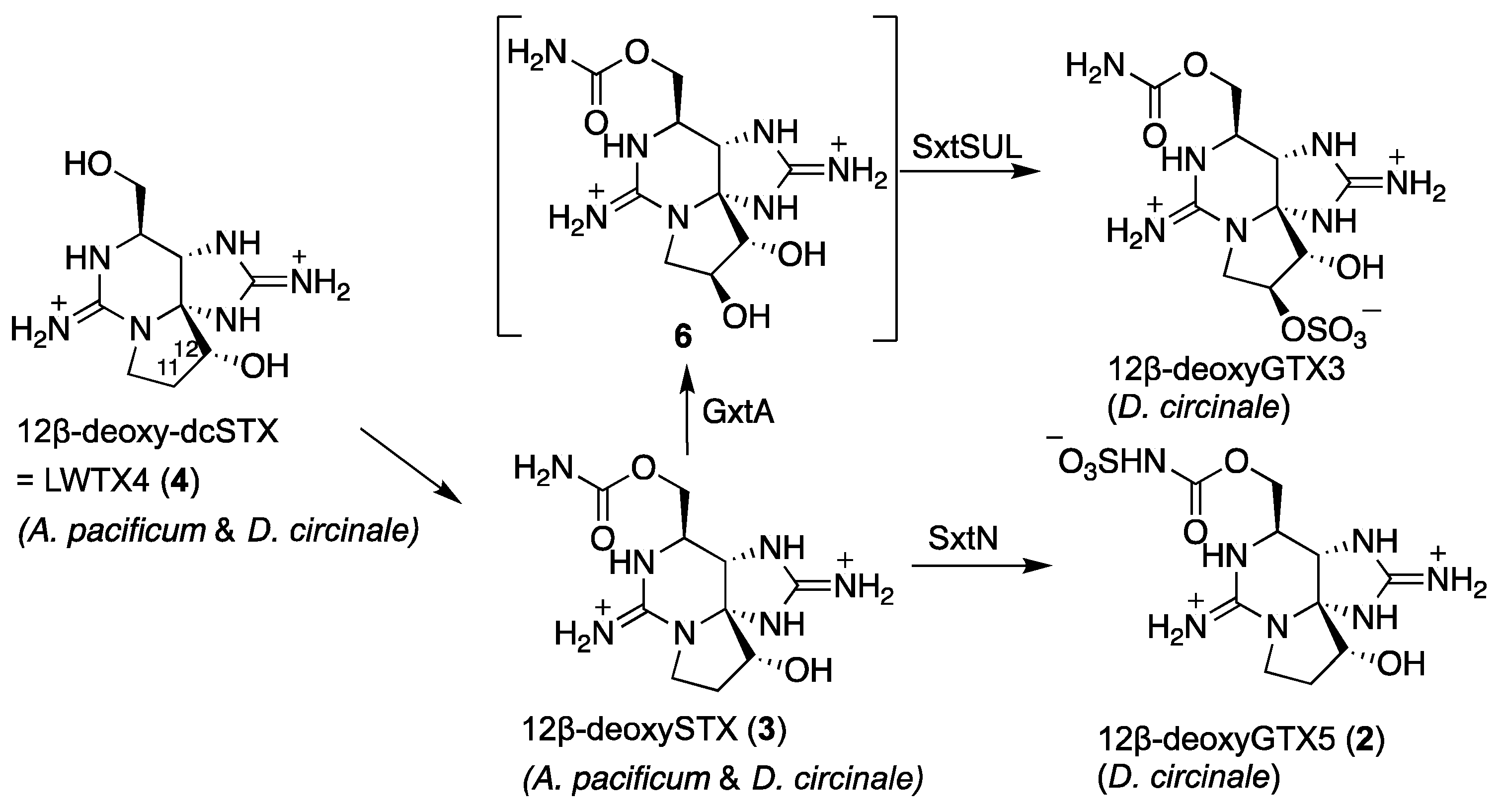 Marinedrugs 20 00166 g009
