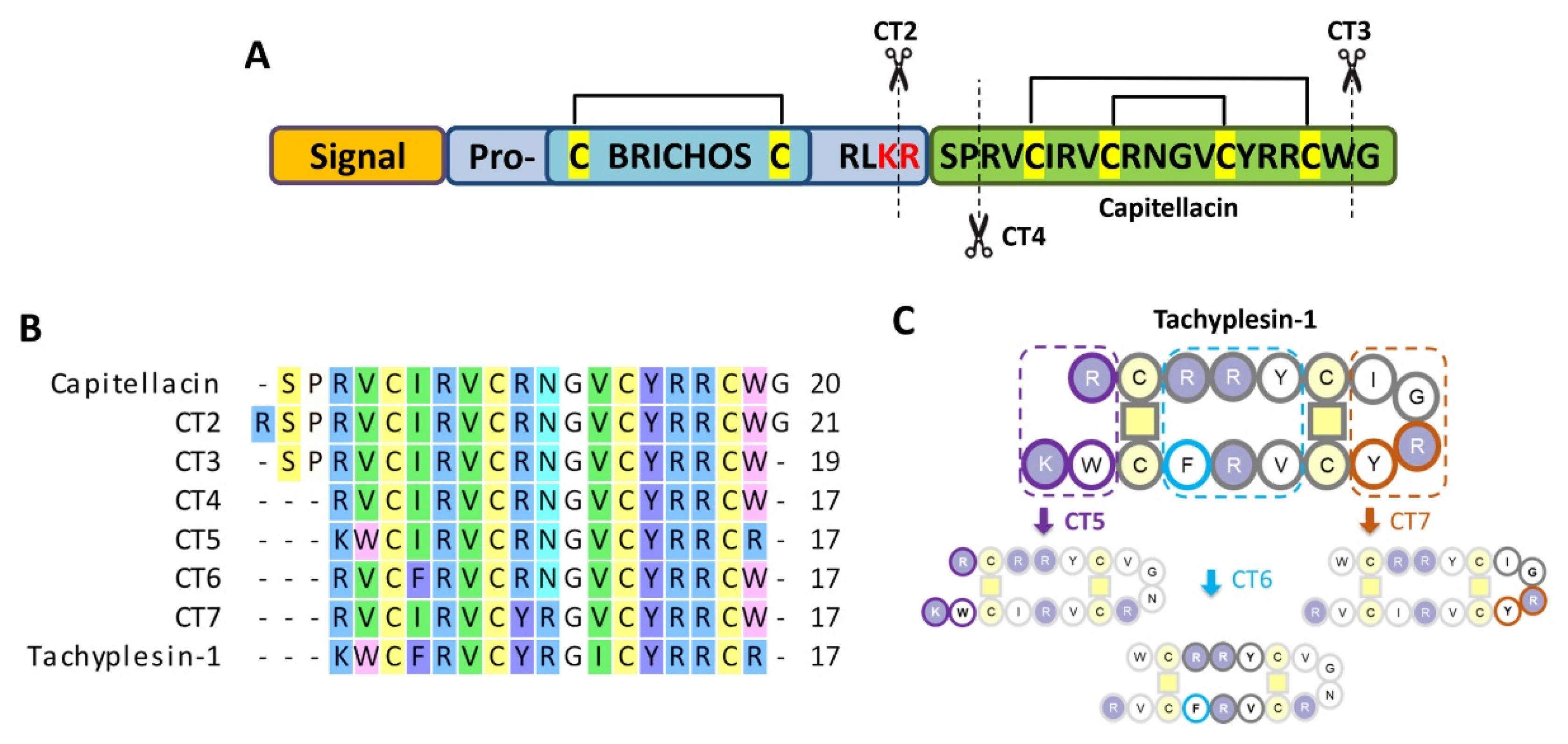 Marinedrugs 20 00167 g001