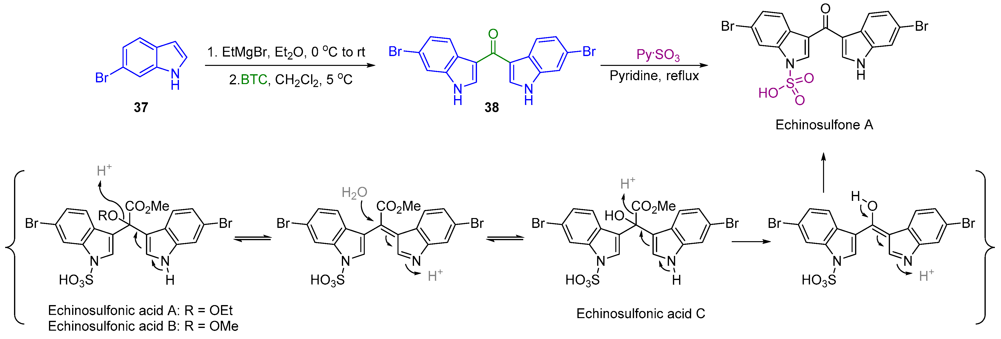 Marinedrugs 20 00171 sch005