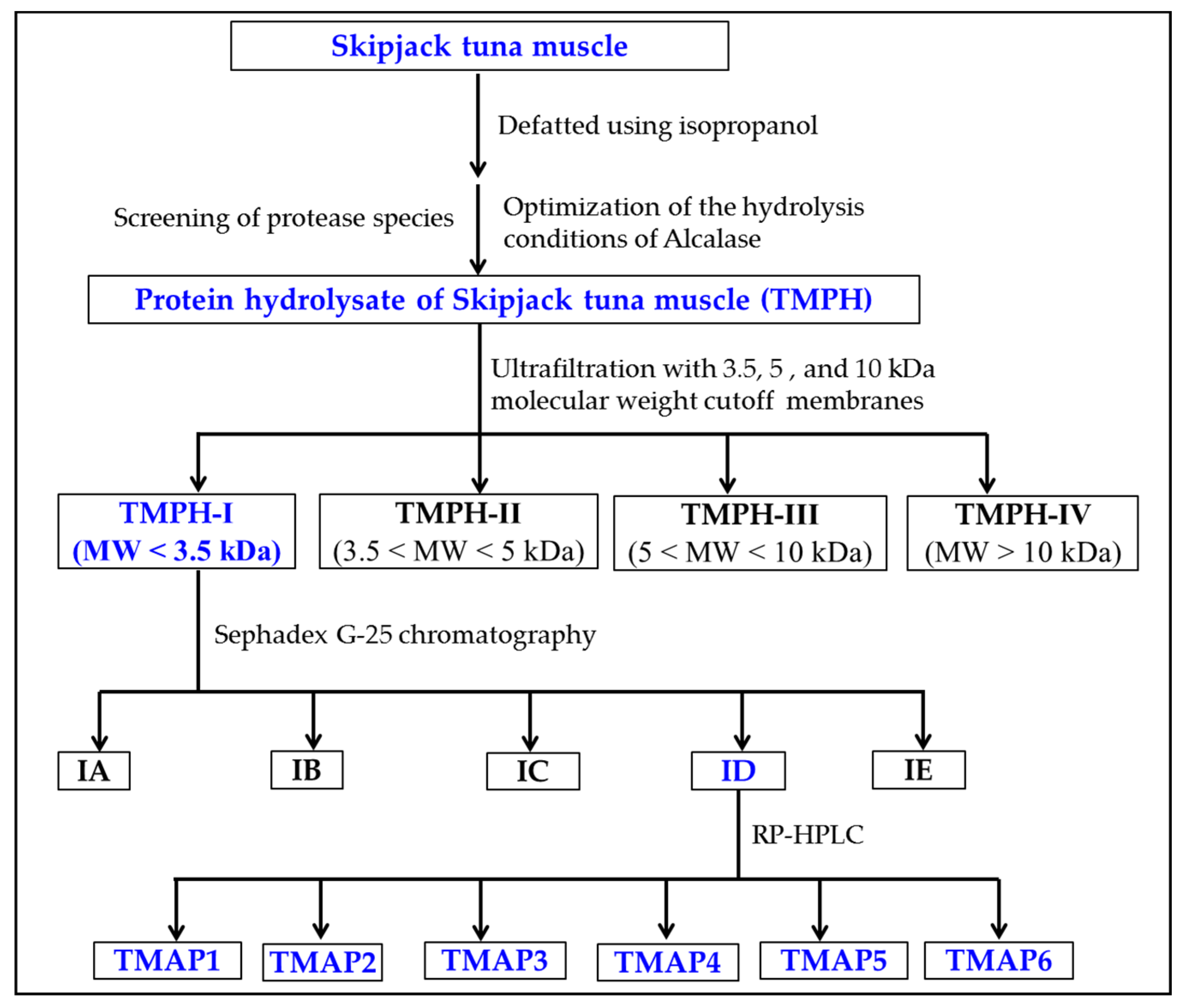 Marinedrugs 20 00176 g012