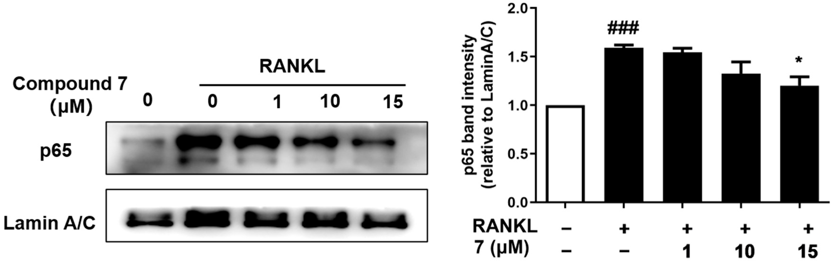 Marinedrugs 20 00178 g006