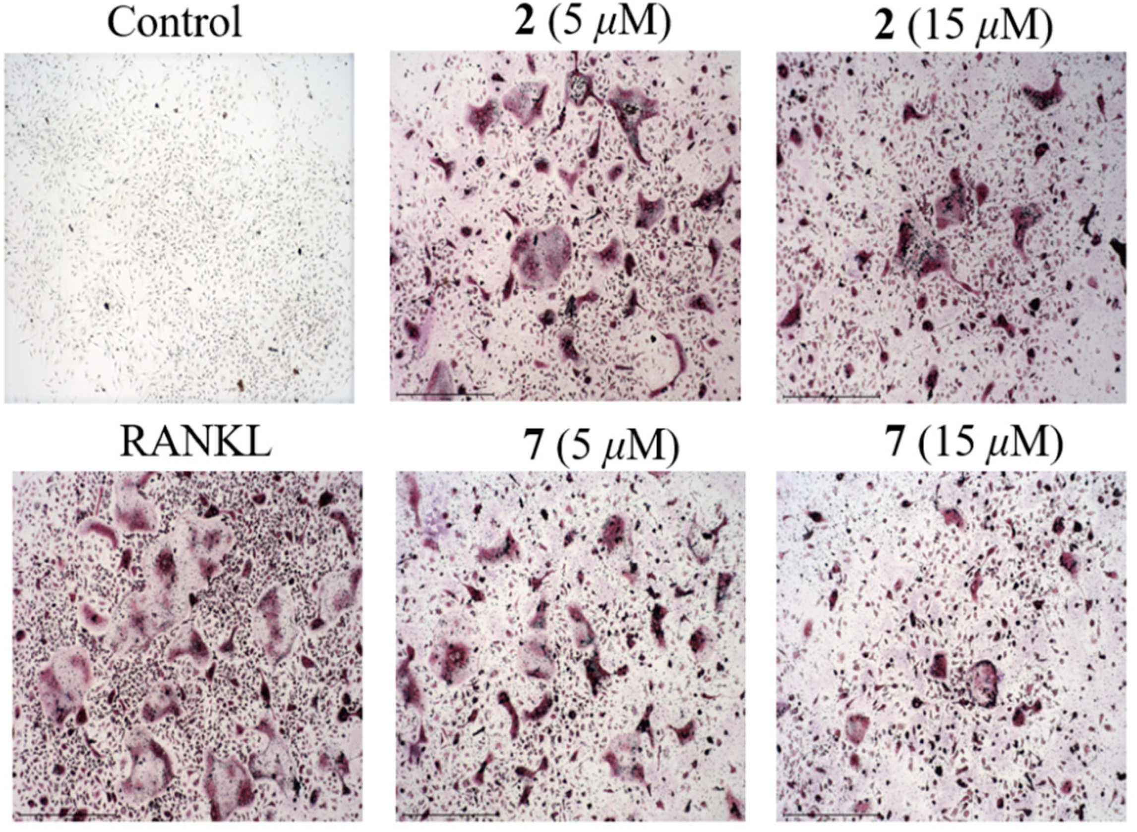 Marinedrugs 20 00178 g008
