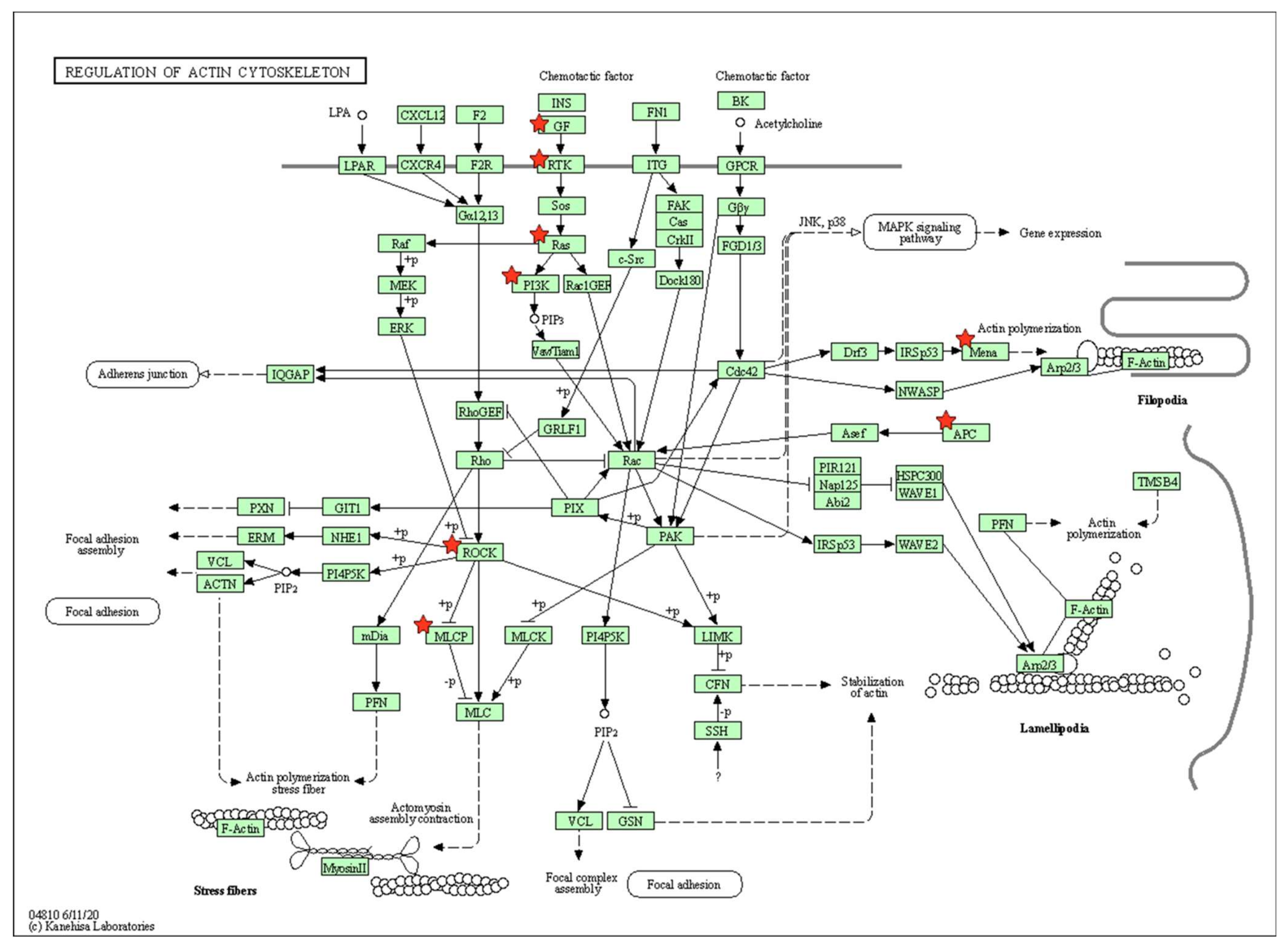Marinedrugs 20 00181 g004