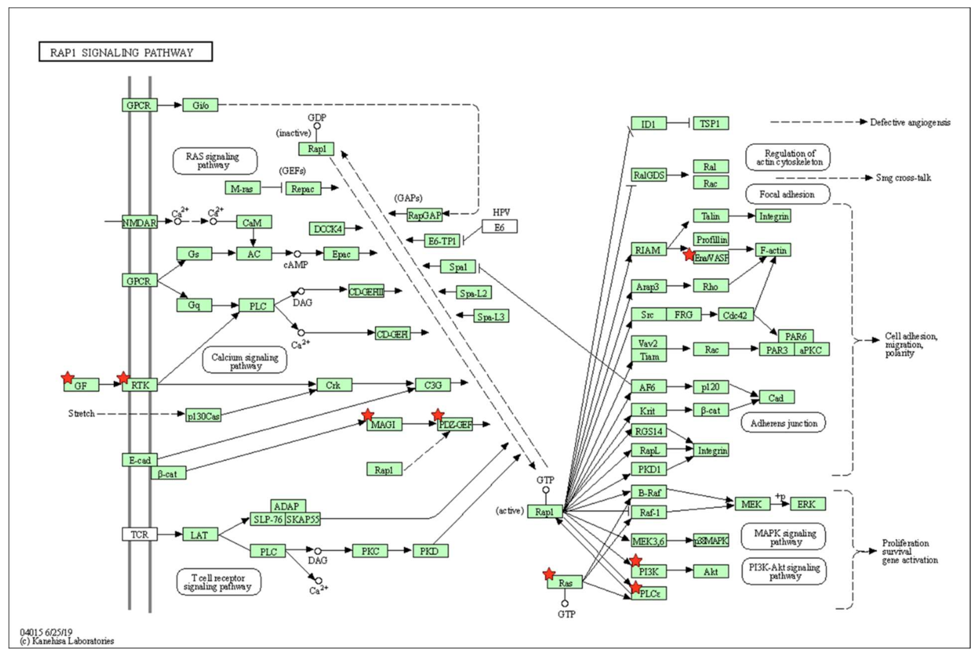 Marinedrugs 20 00181 g005