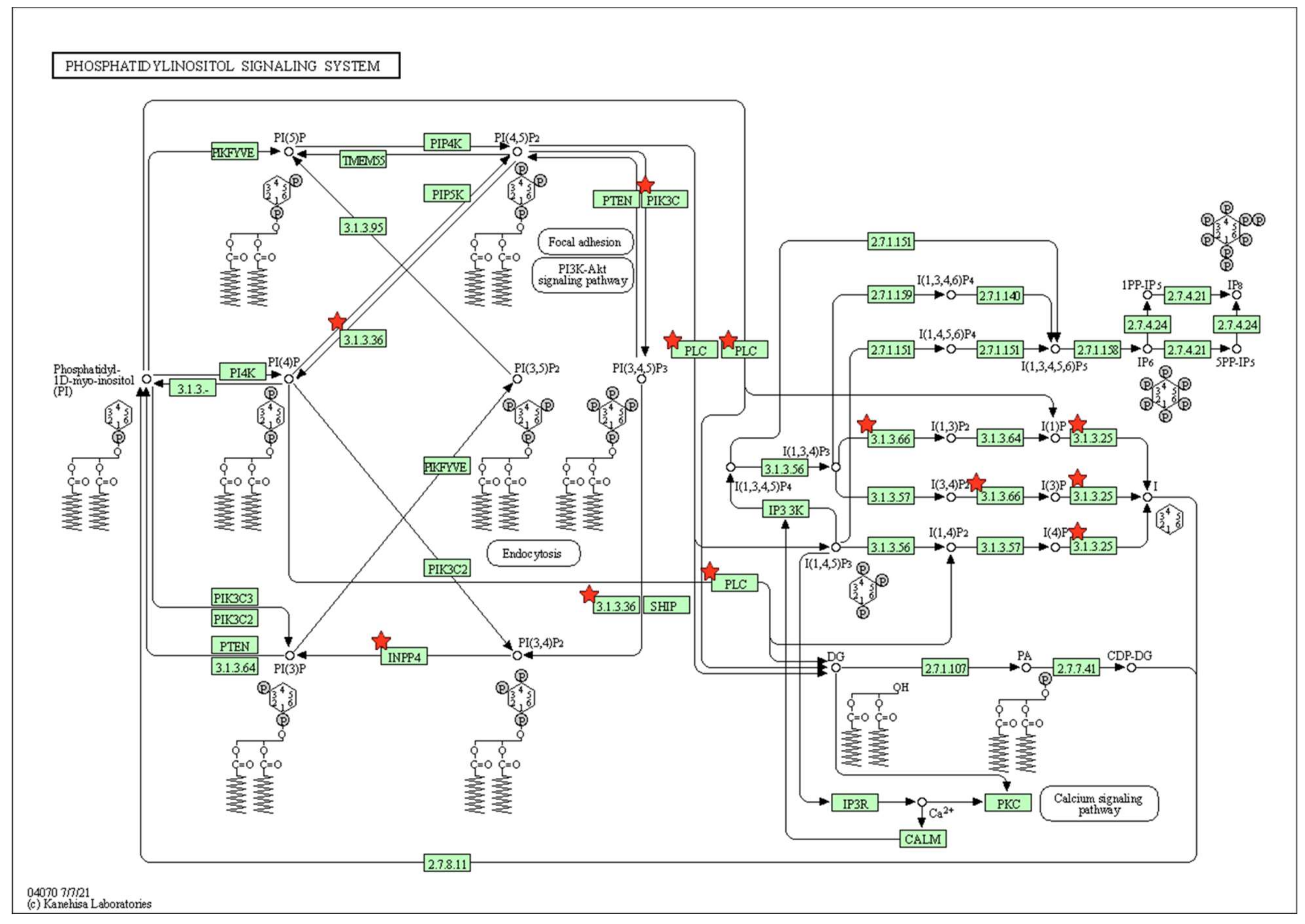 Marinedrugs 20 00181 g006