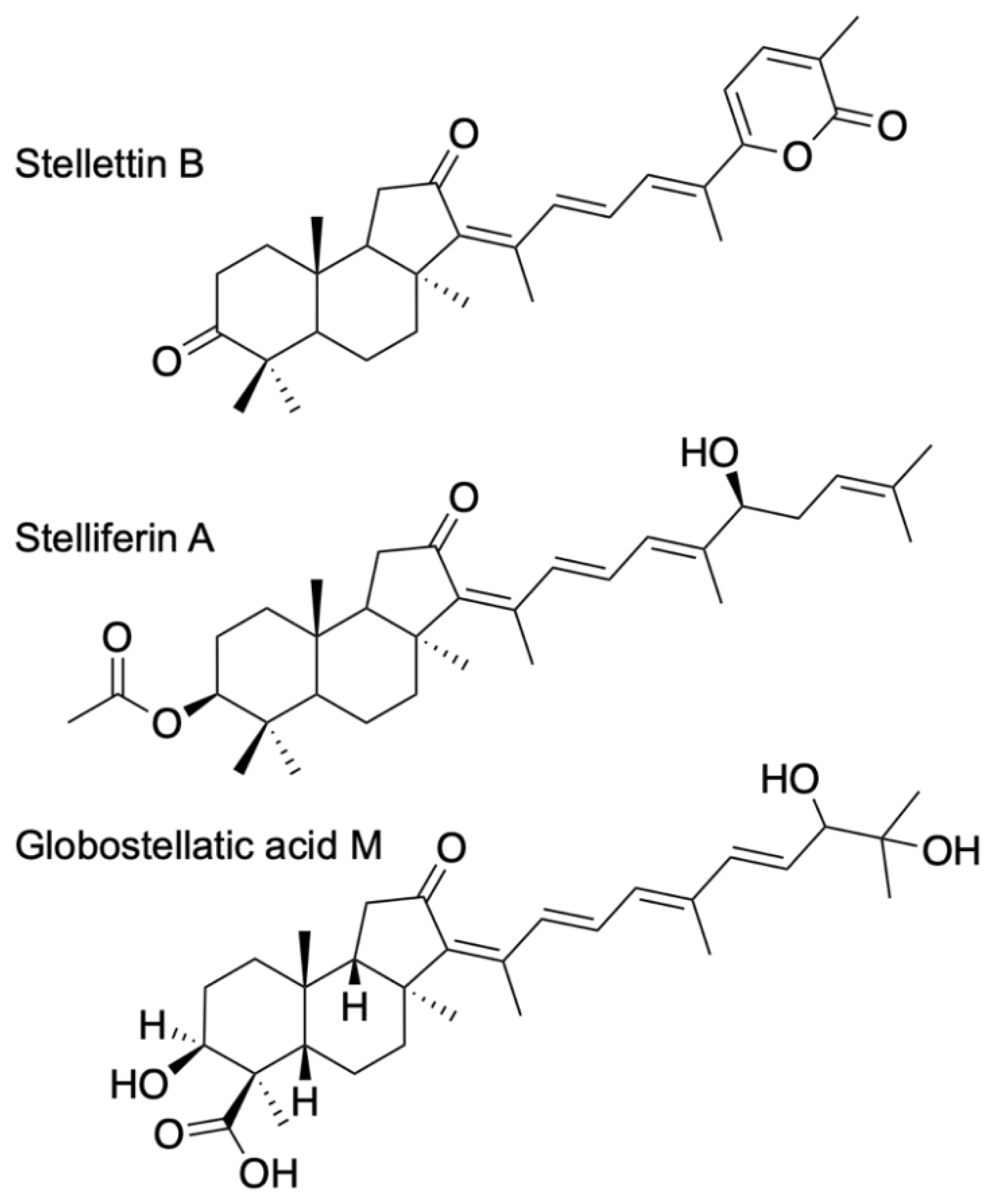 Marinedrugs 20 00190 g001