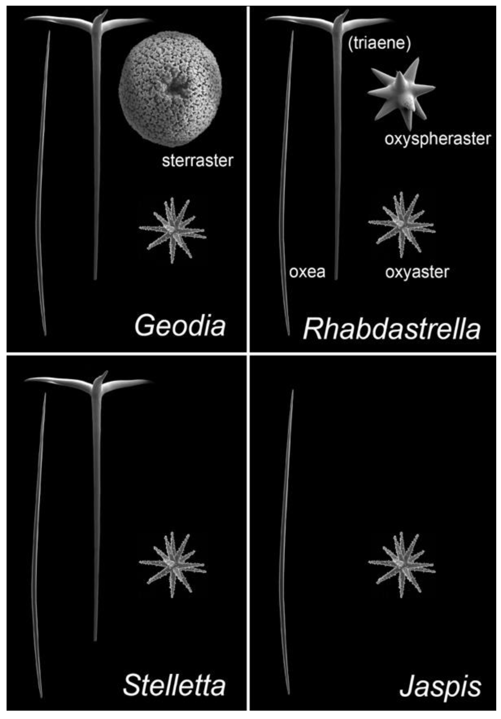 Marinedrugs 20 00190 g002