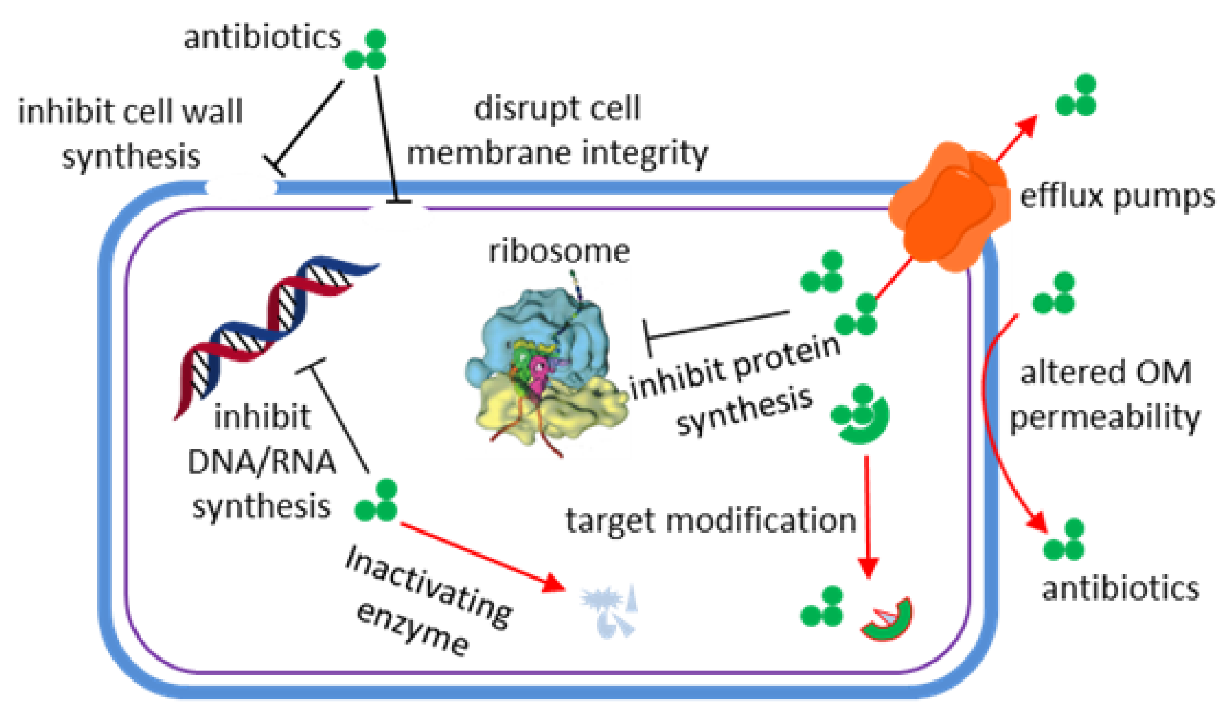 Marinedrugs 20 00192 g001