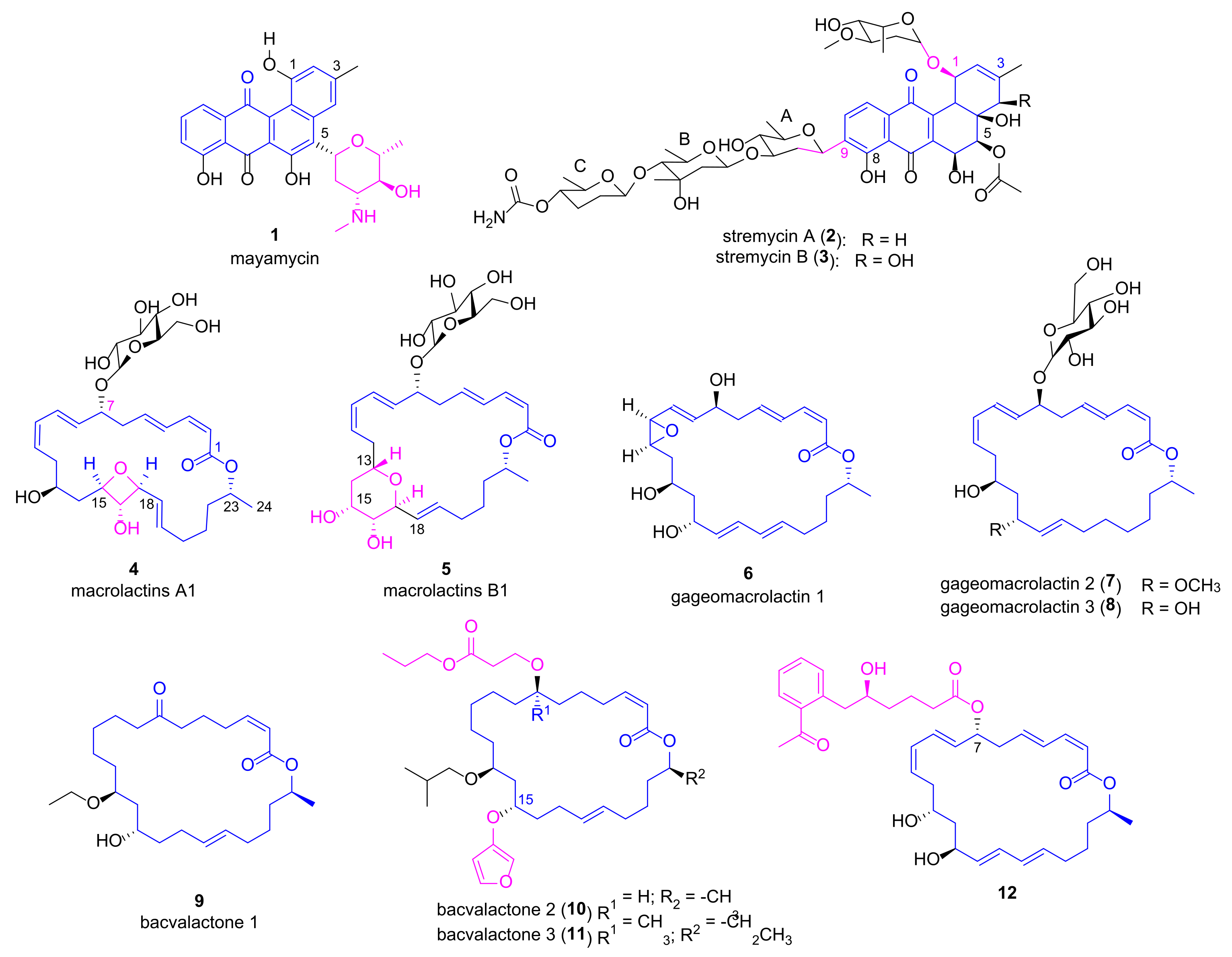 Marinedrugs 20 00192 g002