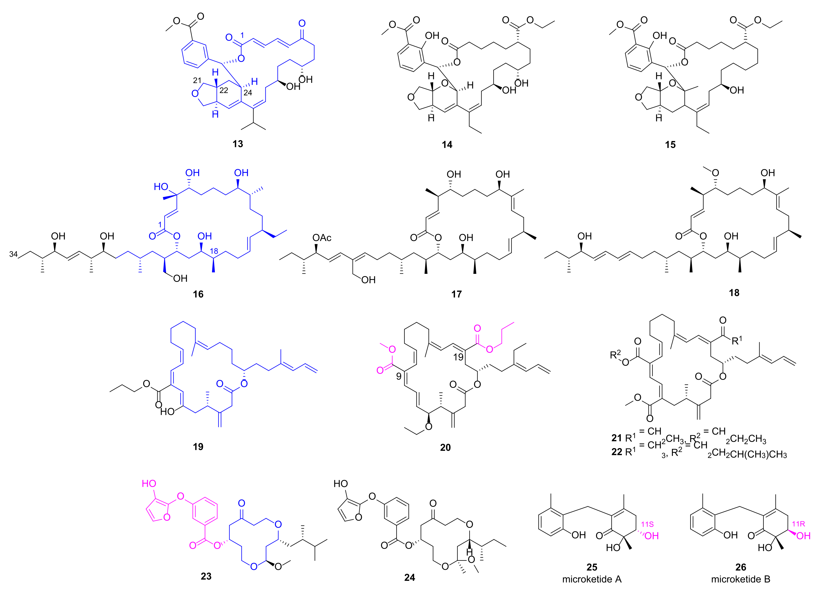 Marinedrugs 20 00192 g003