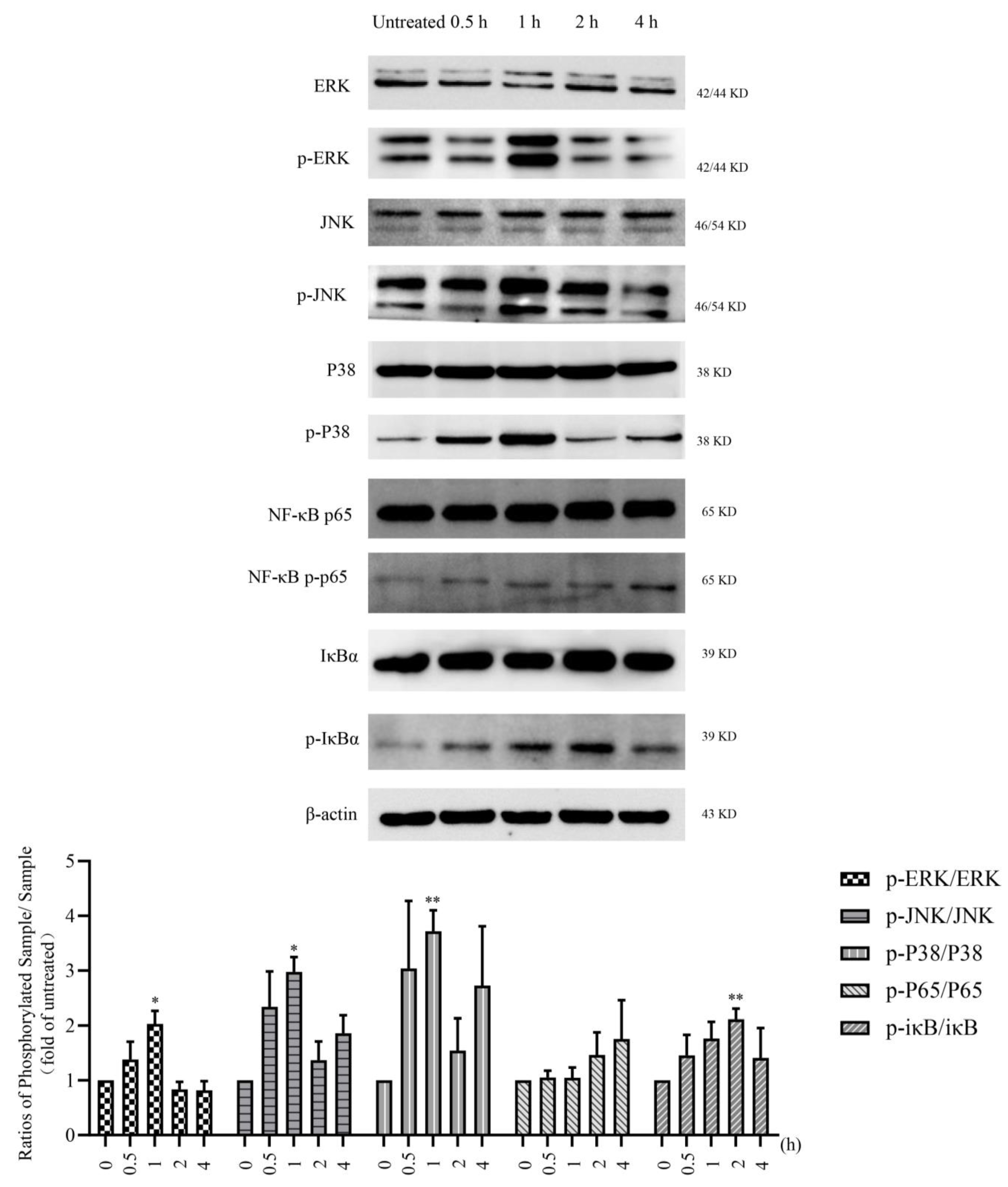 Marinedrugs 20 00197 g005