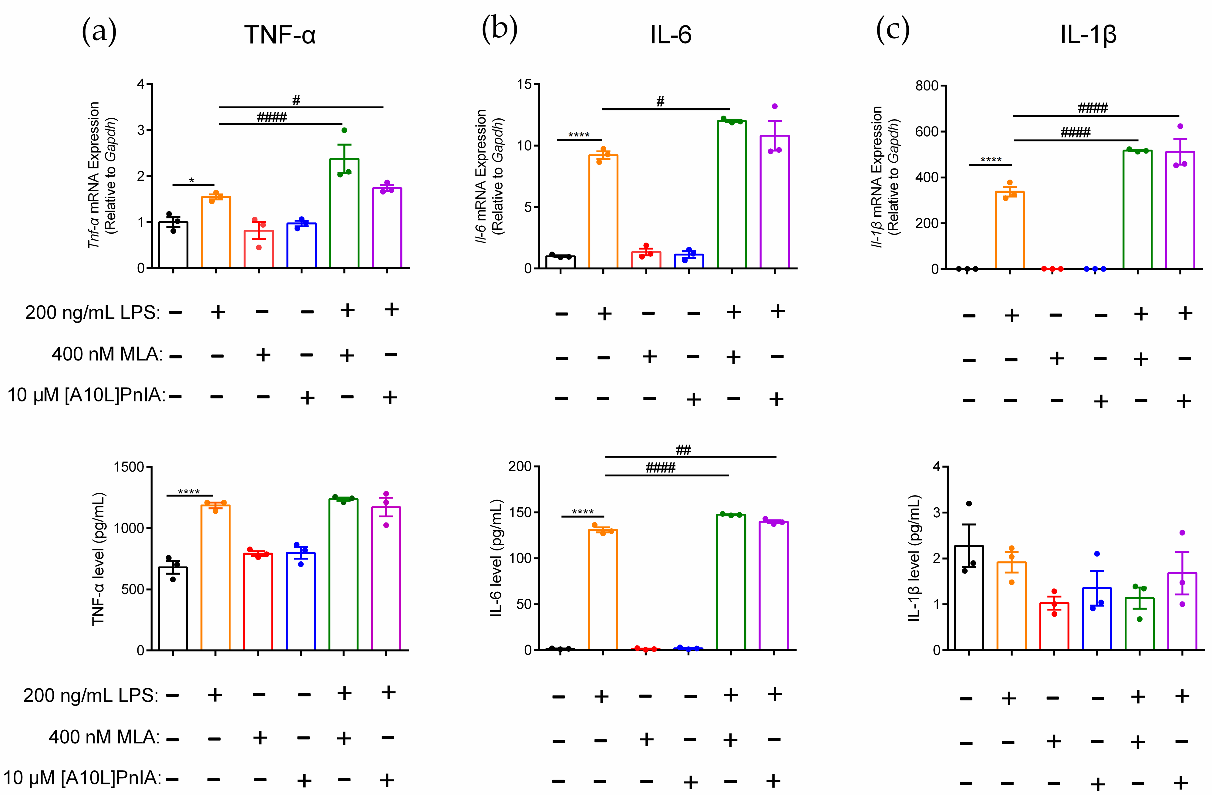 Marinedrugs 20 00200 g006